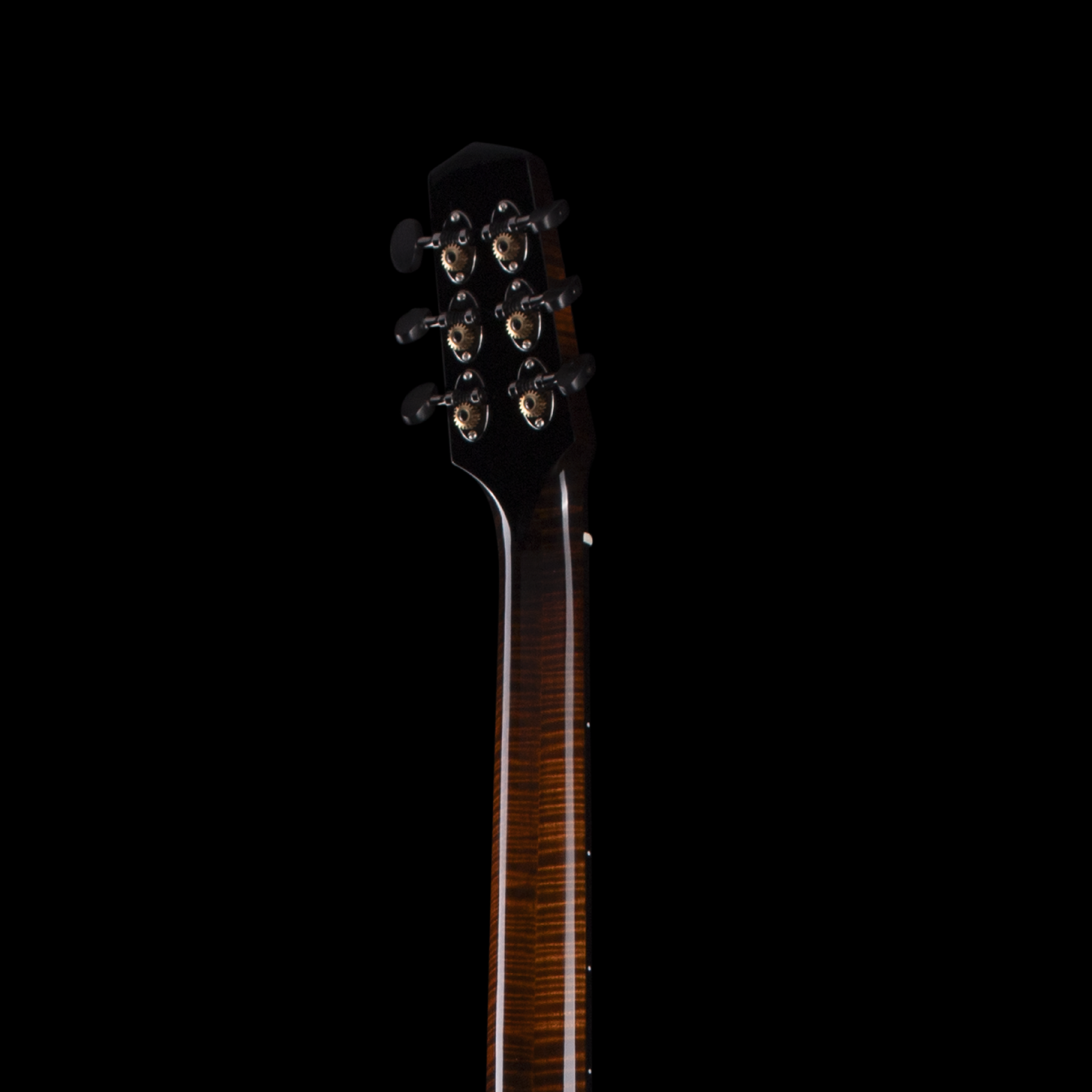 enTour 2026 Northfiled Instruments The Rival - Headstock Back.png