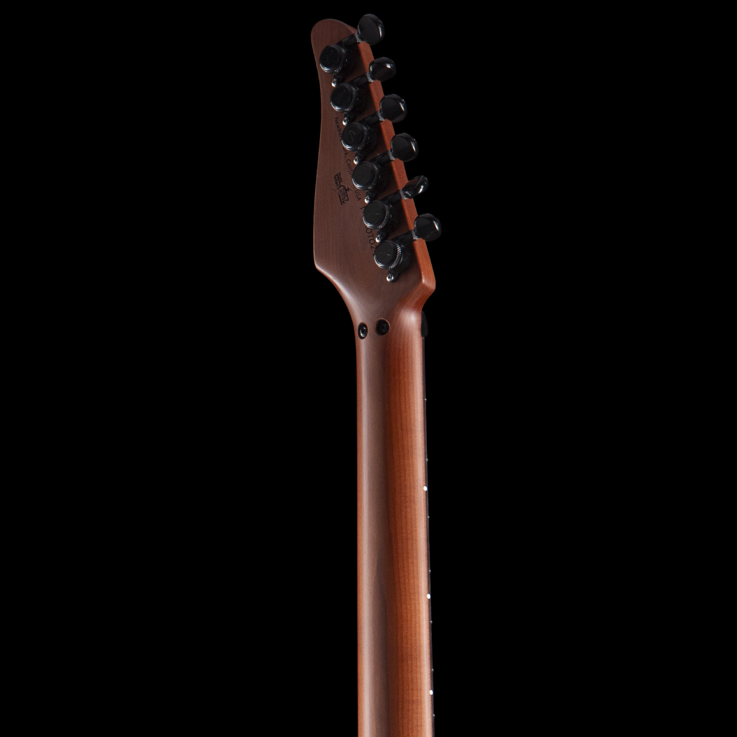 enTour 2026 Tom Anderson Guitarworks Direwolf - Headstock Back.png