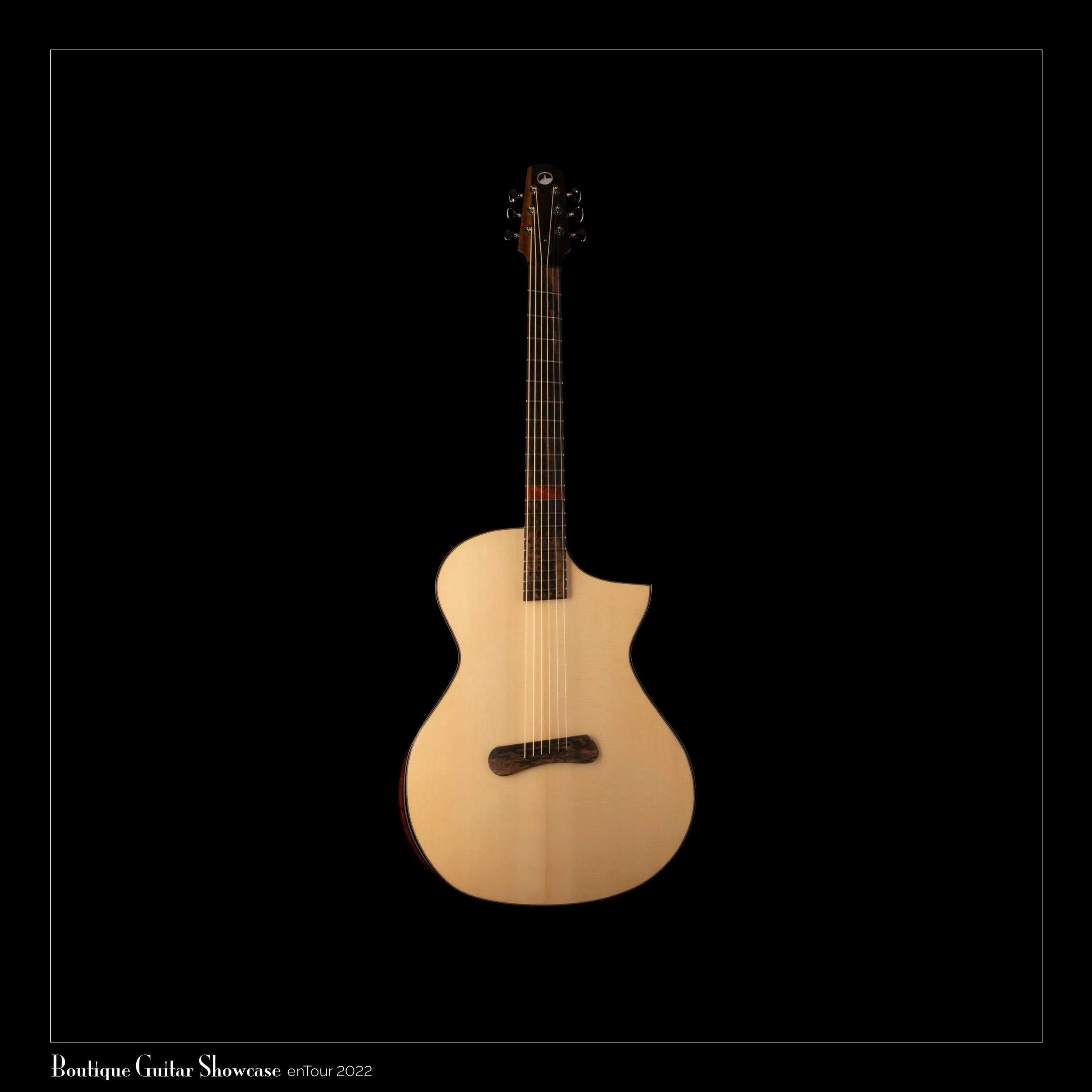 Skytop acoustic guitar with a unique body shape on a black background.