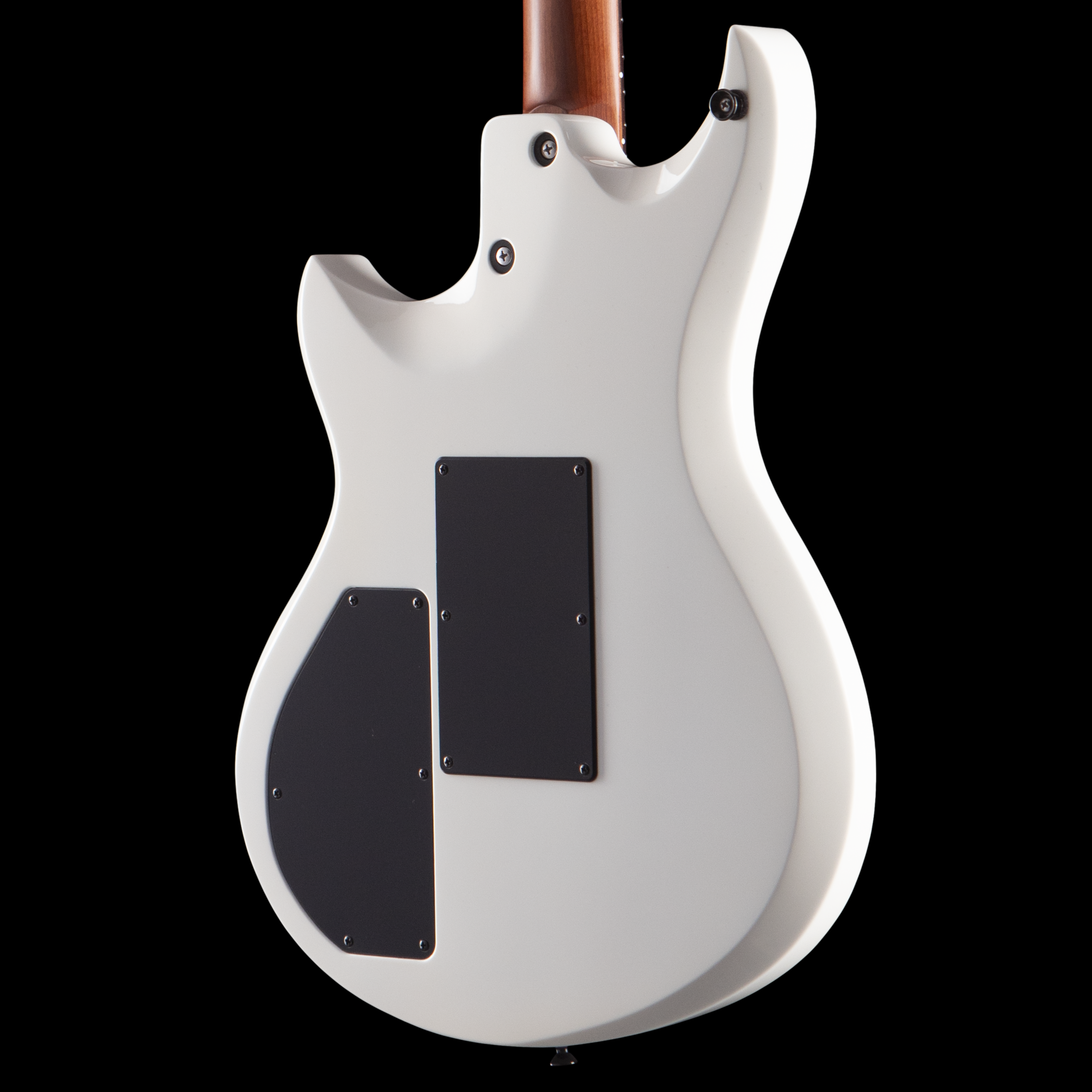enTour 2026 Tom Anderson Guitarworks Direwolf - Body Back.png
