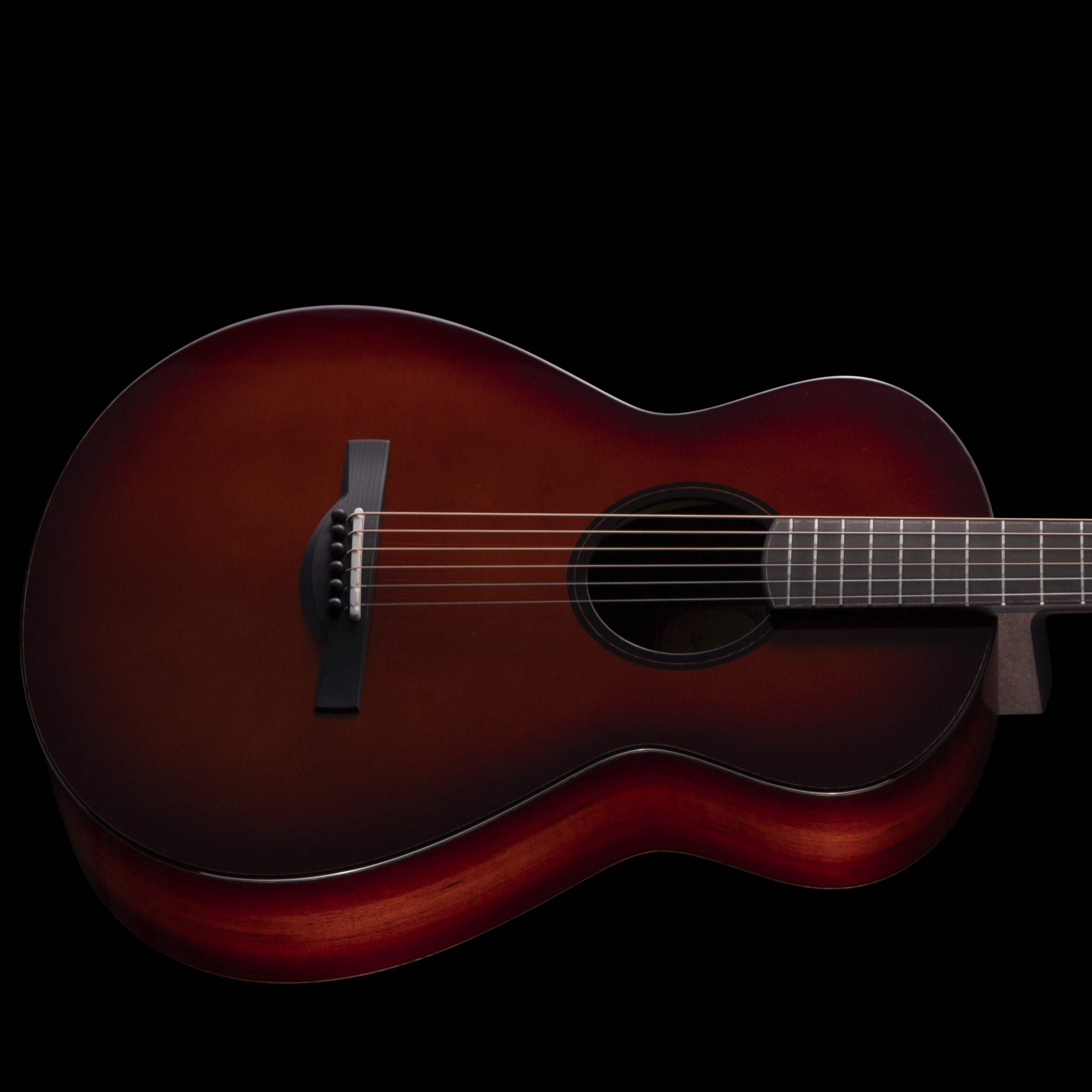 Close-up of an acoustic Dion guitar with a dark wood finish and visible strings.