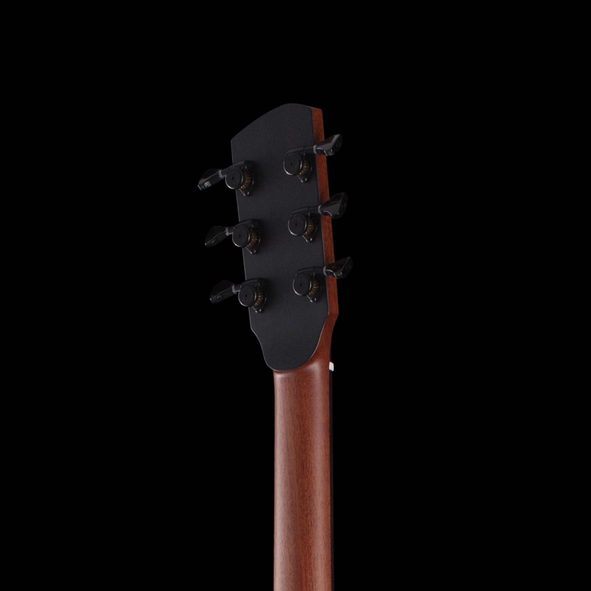 enTour 2026 Guitares Julien Sublet TS1 - Headstock Back.png