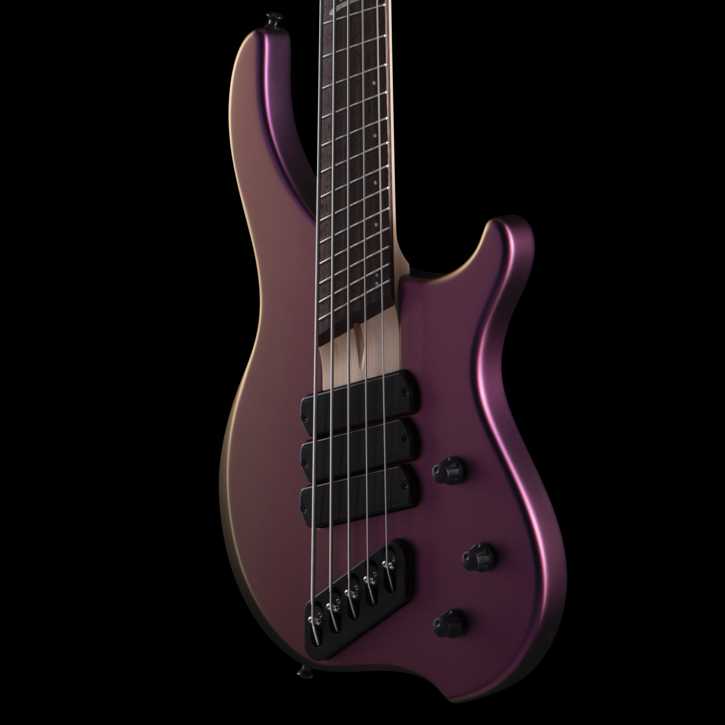 enTour 2026 Dingwall Bass ABZ - Body Front.png