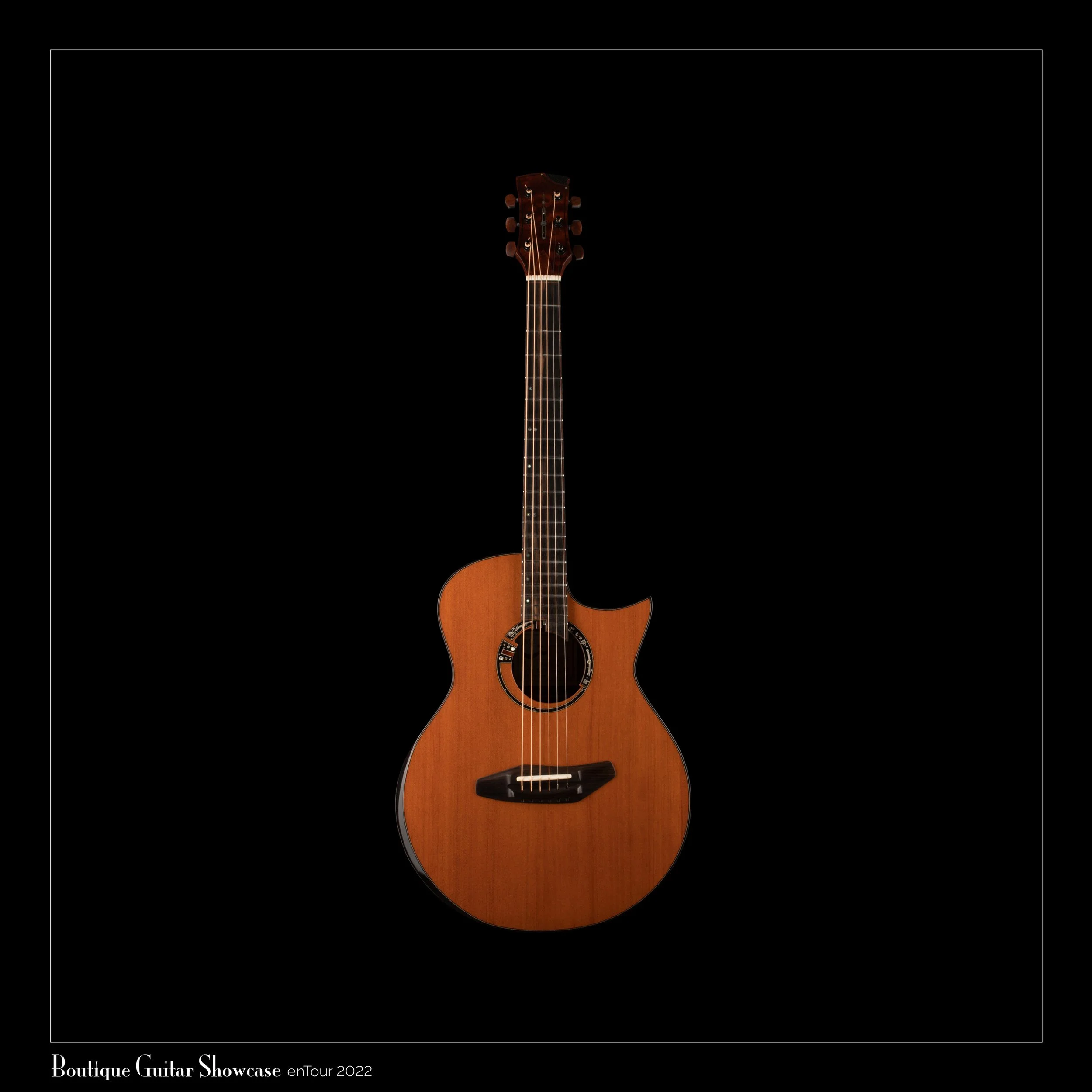BGS-2022-JOI-Guitar-Tree_Mahogany_FS-Front.jpg
