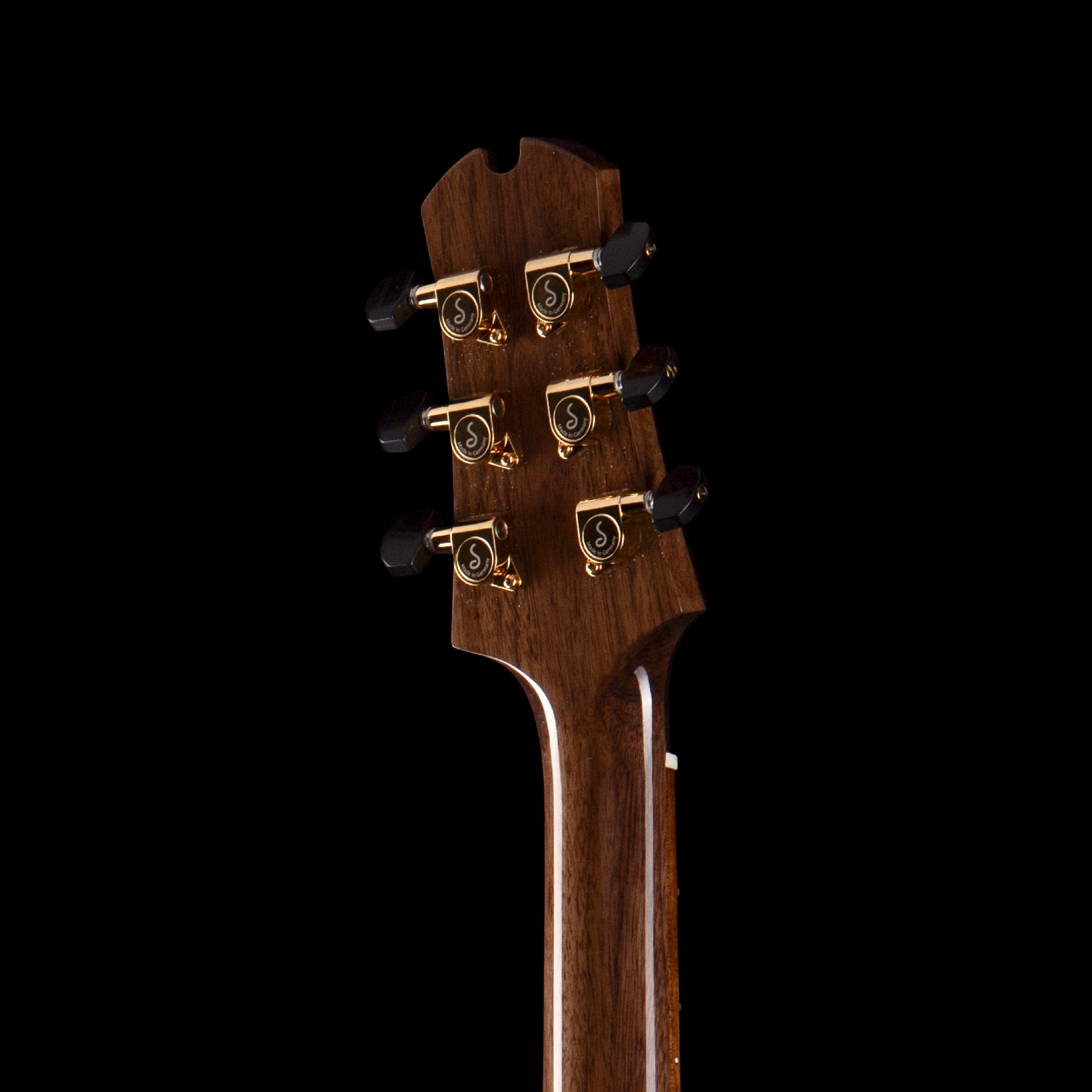 enTour 2026 Guitarras Jaen - Central - Headstock Back.png