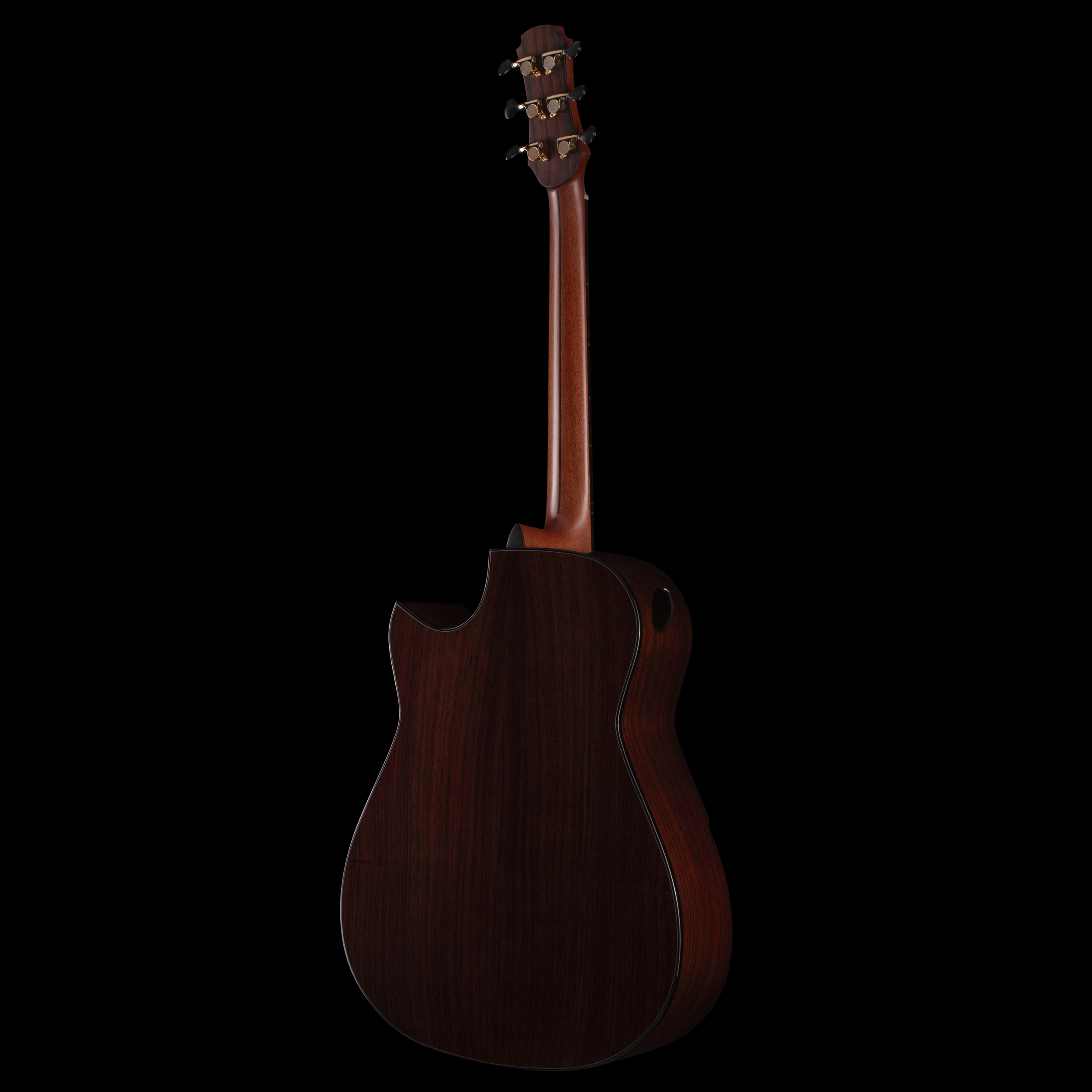 enTour 2026 Hozen Guitars Gold Label  - Back Full.png