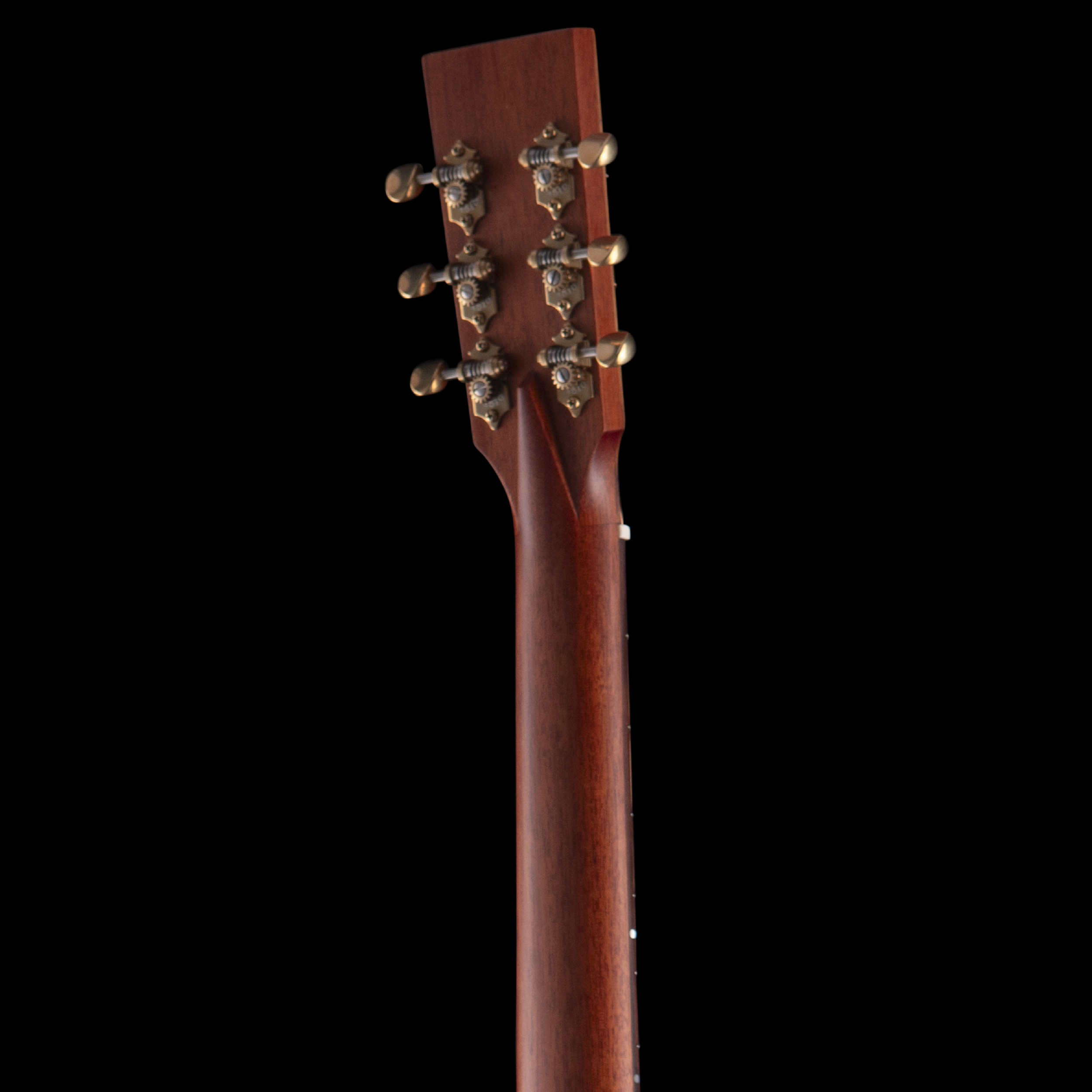 enTour 2026 R Robinson Guitar Resonator - Headstock Back.png