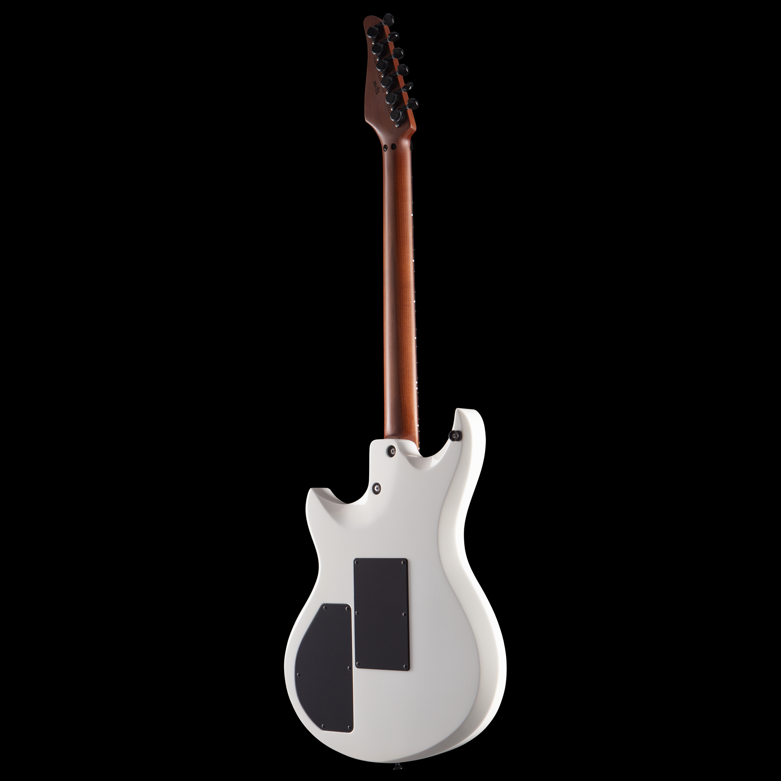 enTour 2026 Tom Anderson Guitarworks Direwolf- Back Full.png