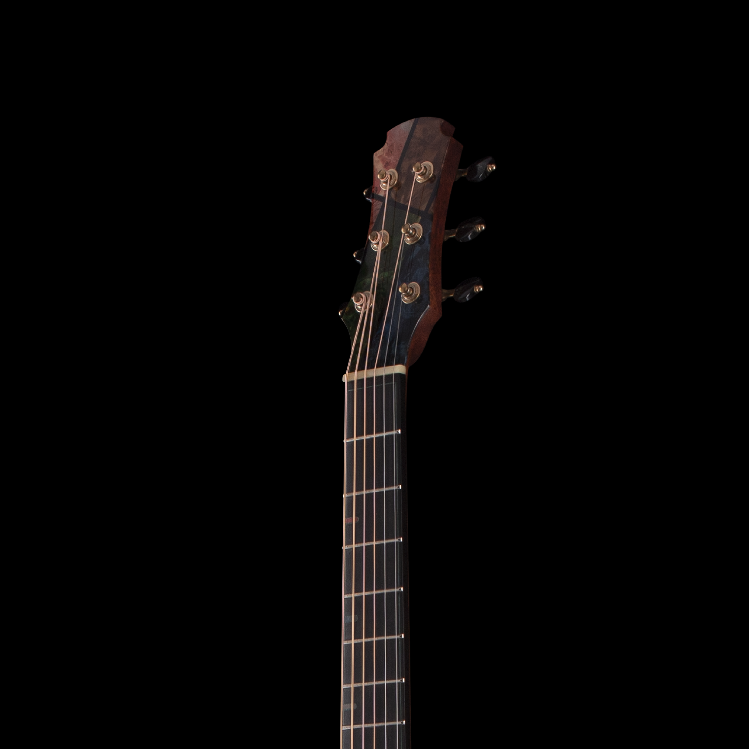 enTour 2026 Hozen Guitars Blue Label 329 - Headstock Front.png