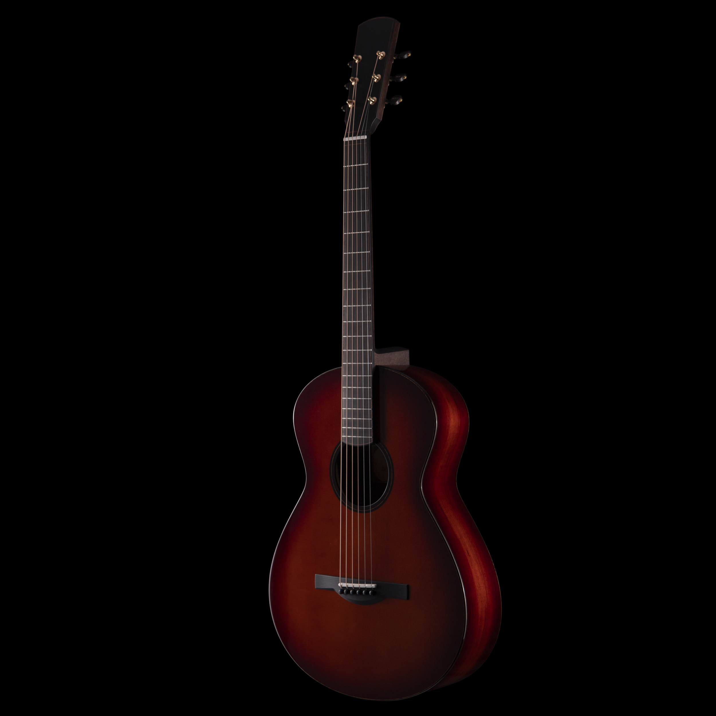 A close-up image of a wooden Dion acoustic guitar with a dark background.