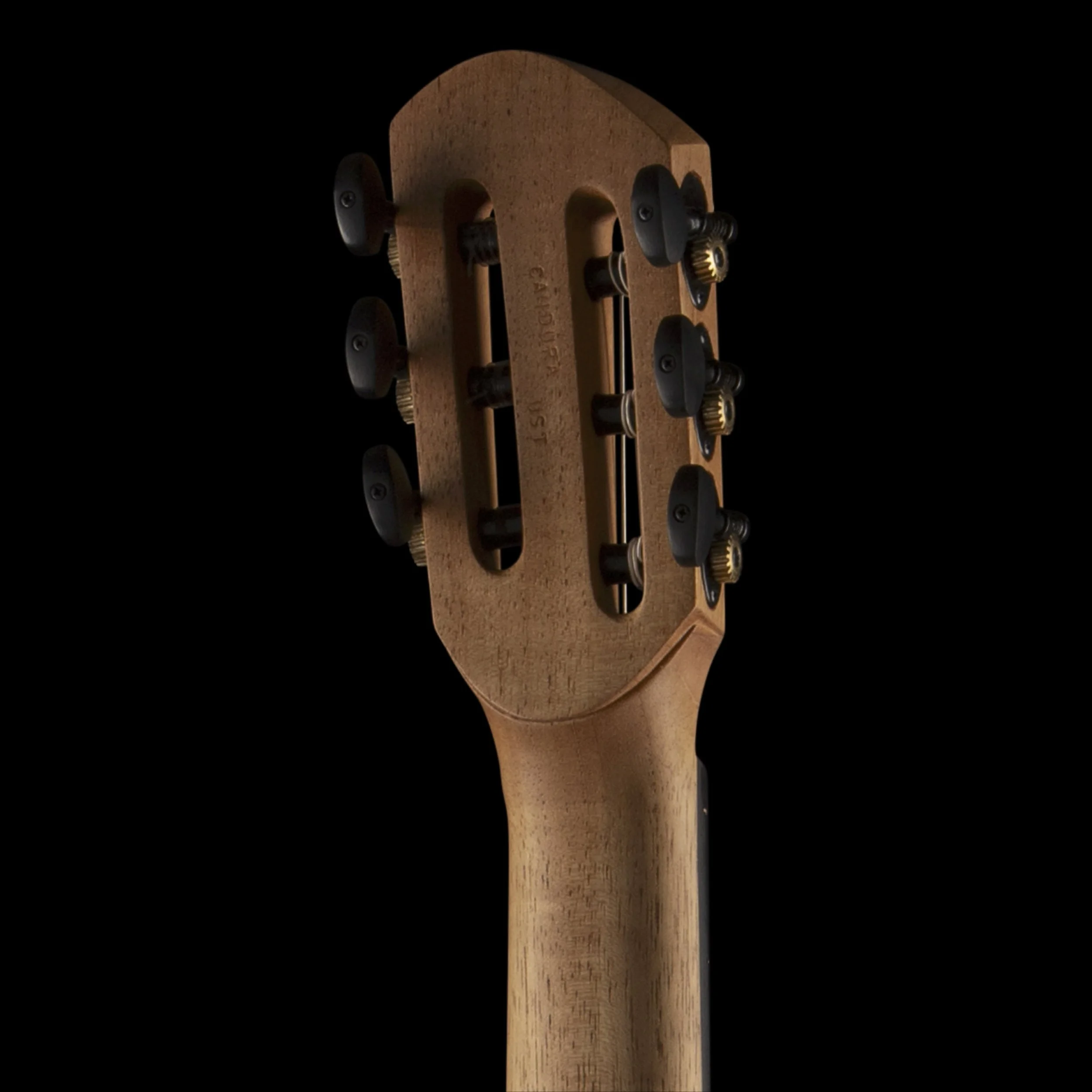 Ergon-Candura-back-headstock.jpg