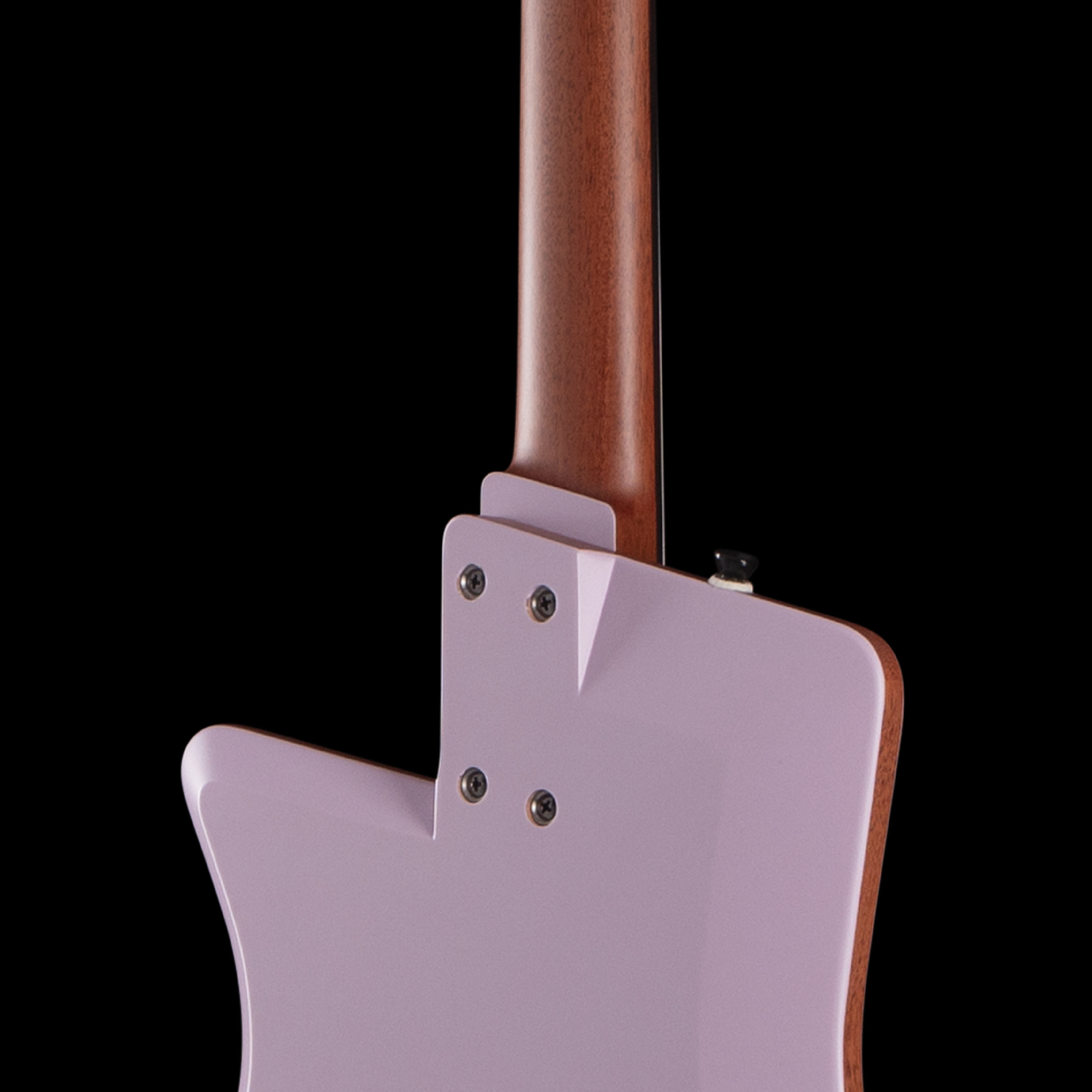 enTour 2026 Guitares Julien Sublet TS1 - Back detail.png