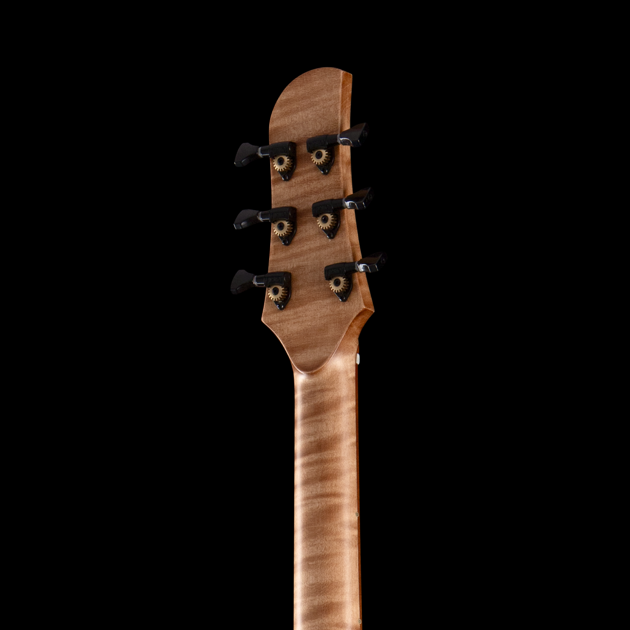 enTour 2026 Bacci Guitars Leonardo Baritone - Headstock Back.png