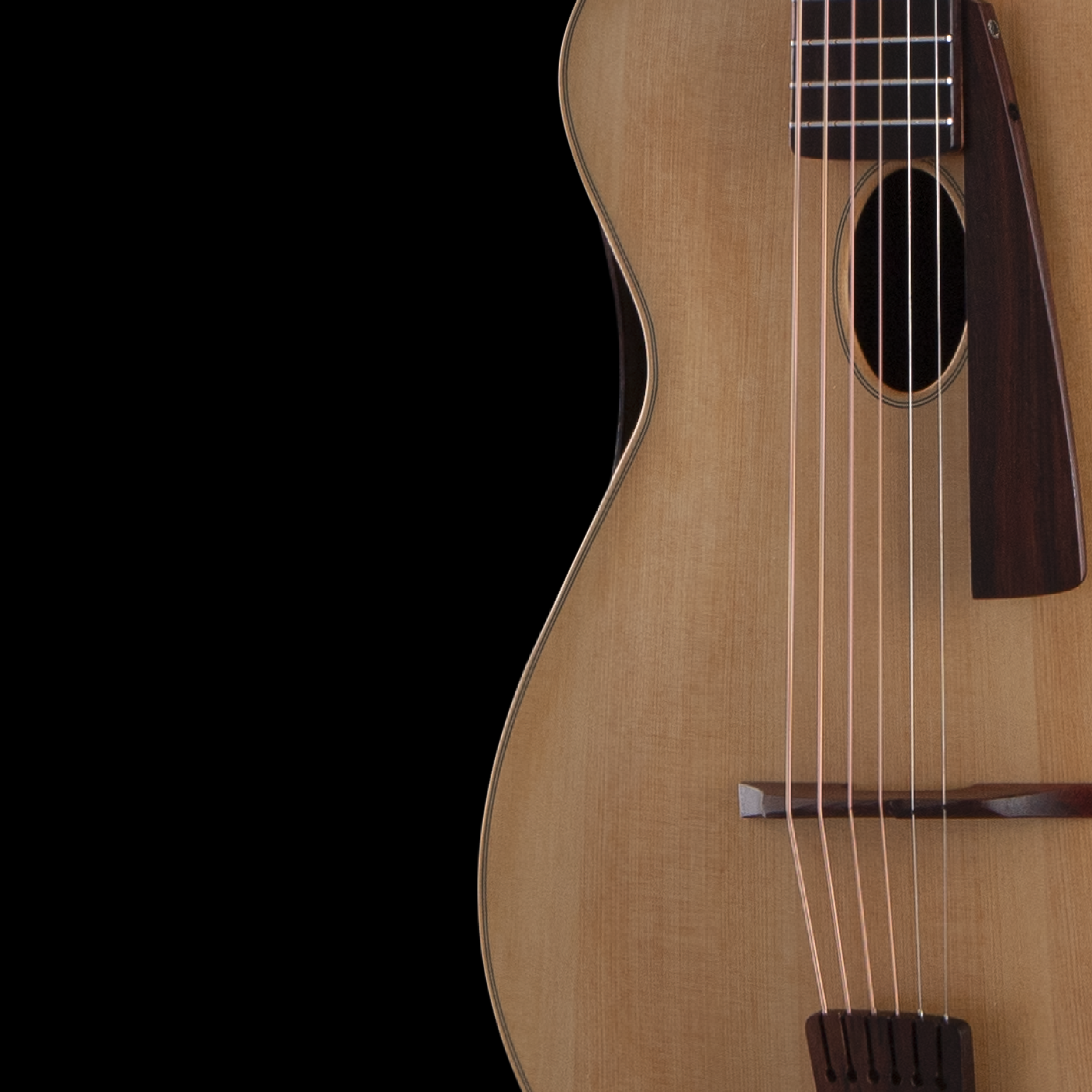 enTour 2026 Sankey Guitars Mignonnette - Detail Front.png