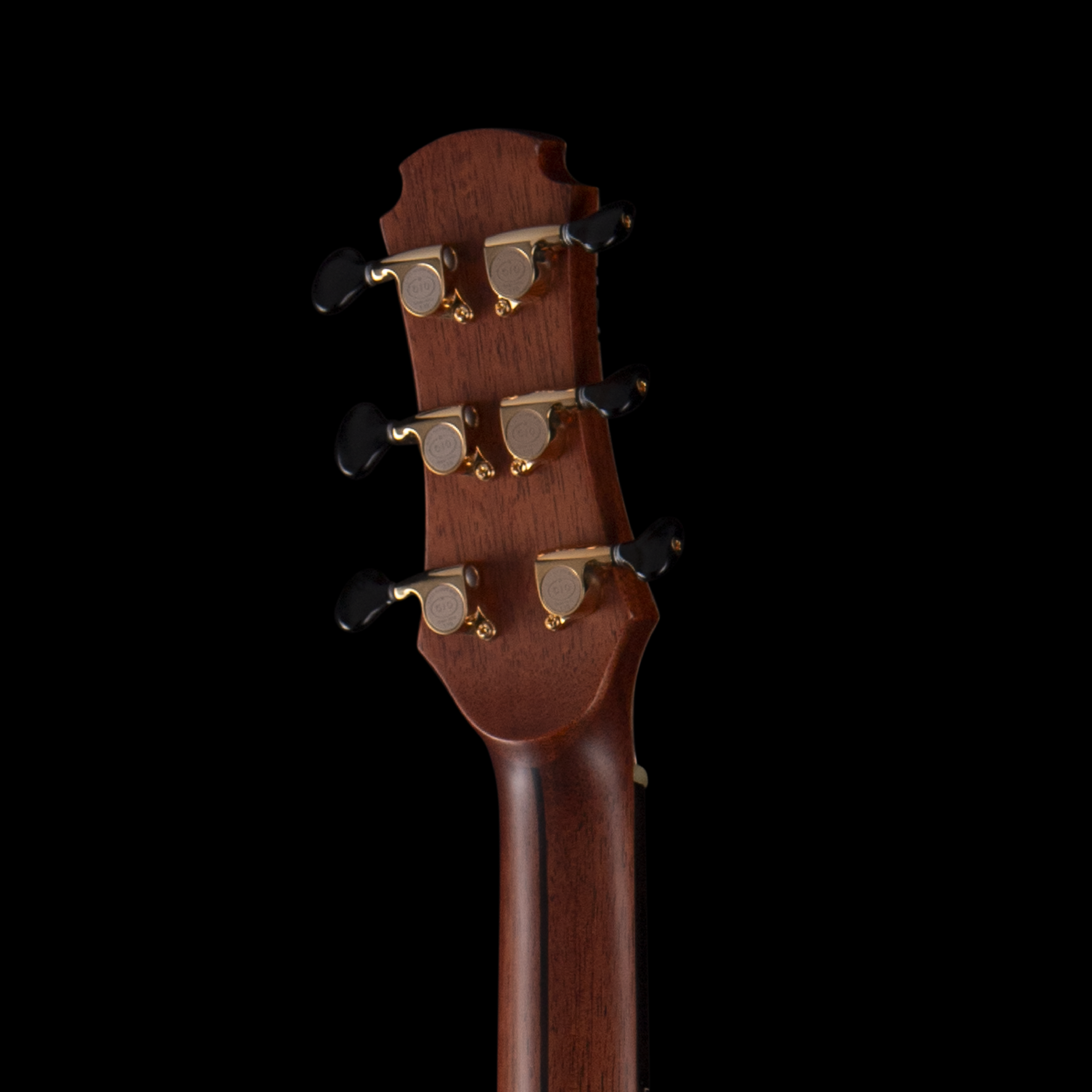 entour 2026 Hozen Blue Label 294 - Headstock Back.png