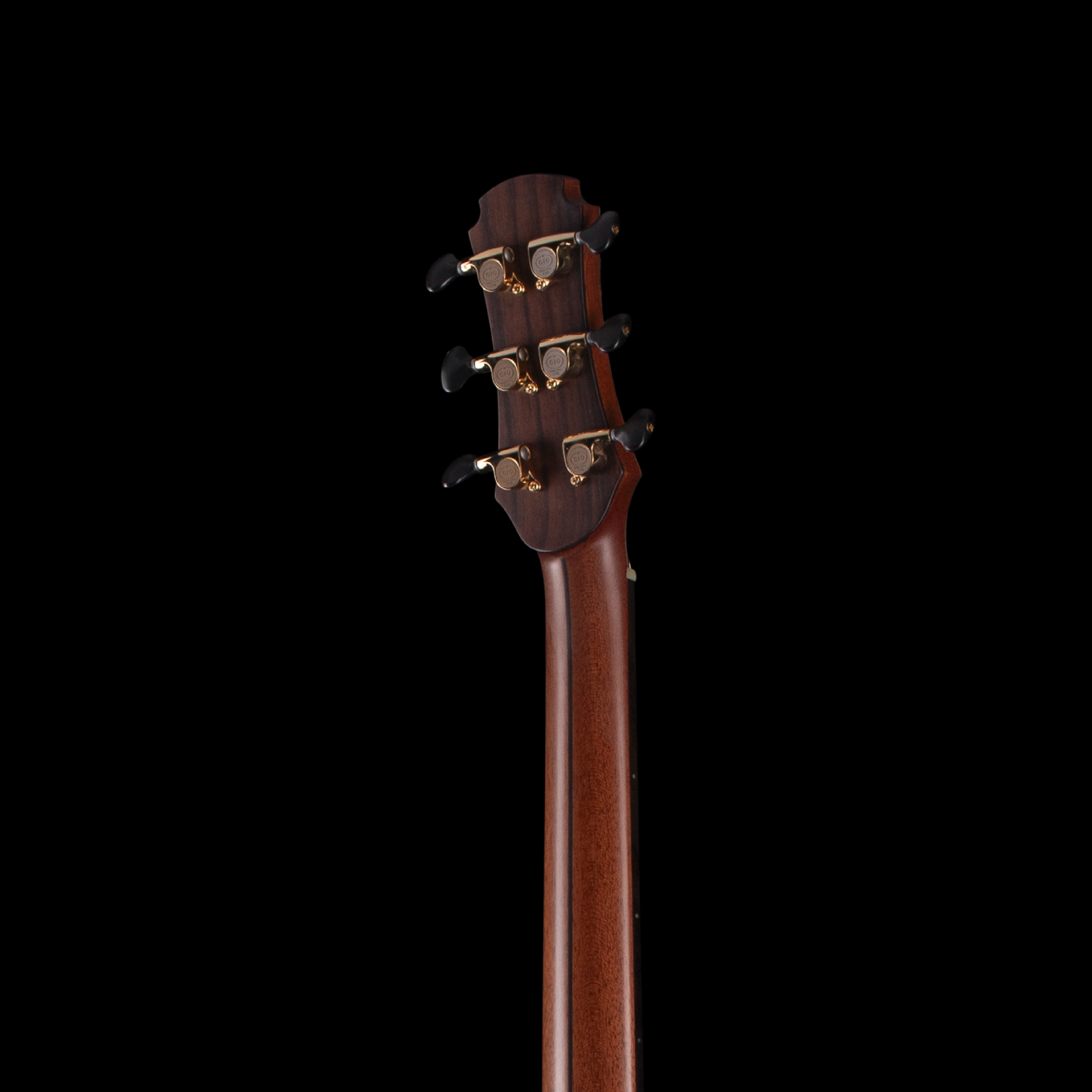 enTour 2026 Hozen Guitars Gold Label  - Headstock Back.png