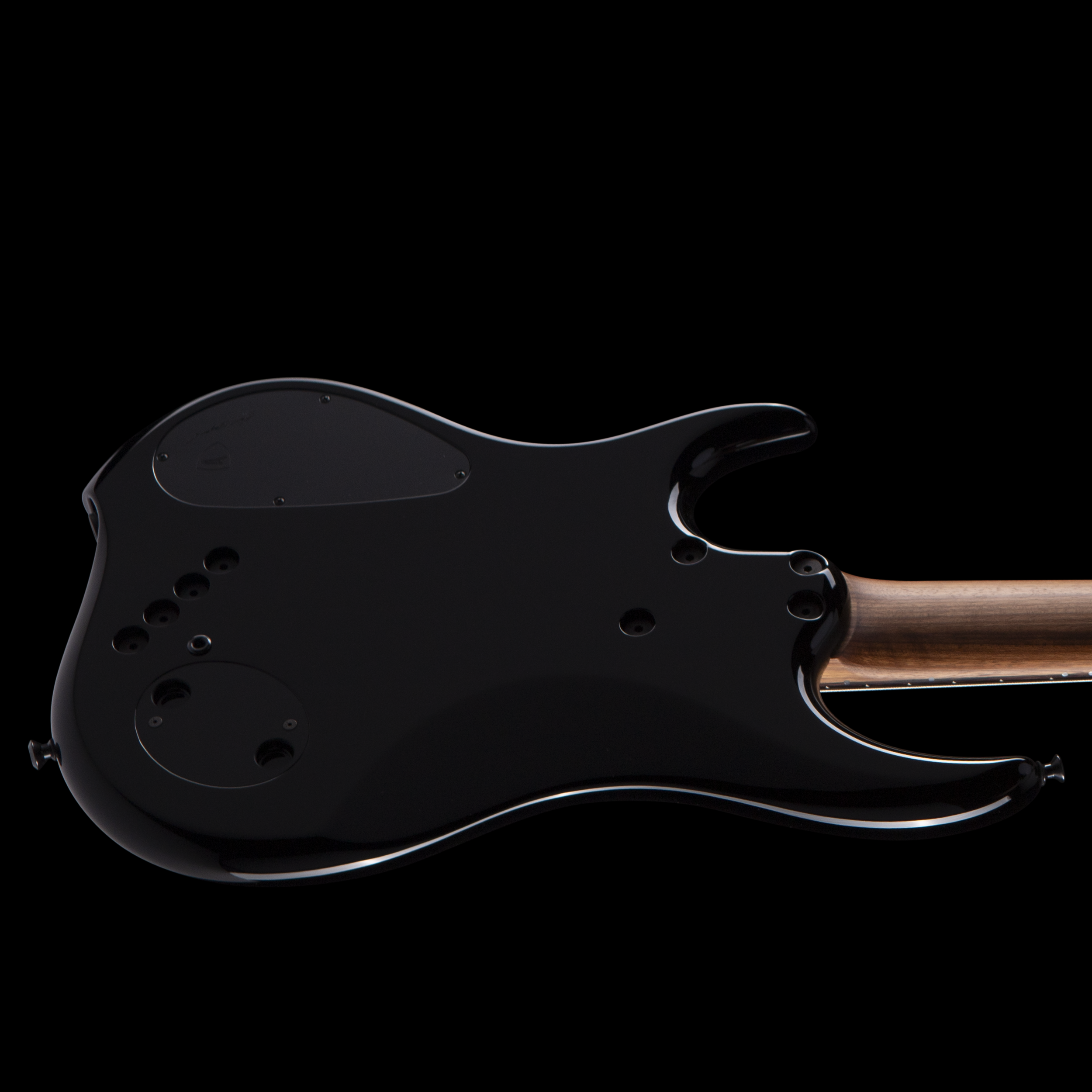 enTour 2026 Dingwall Bass Z3 - Back - Horizontal.png