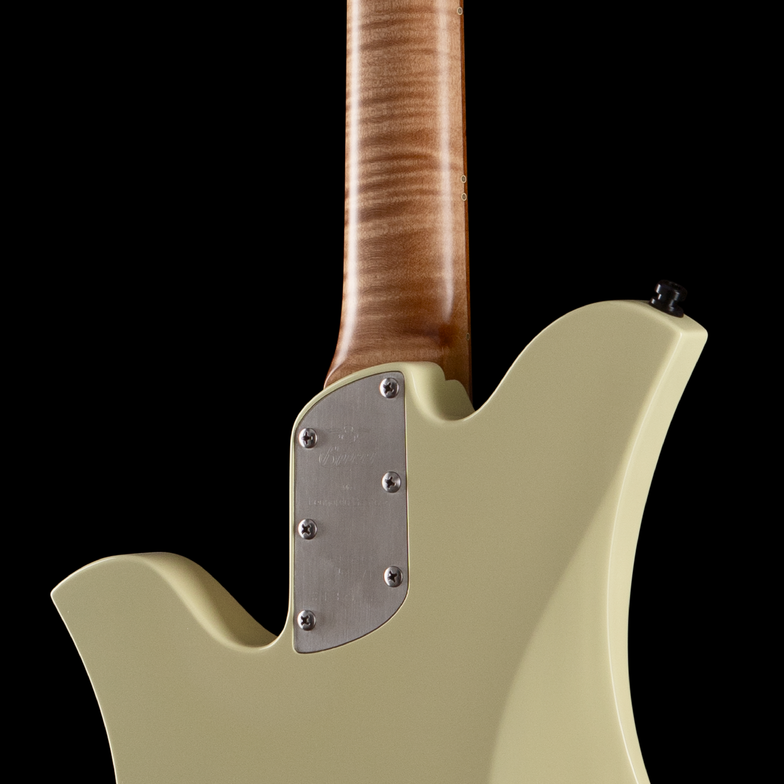 enTour 2026 Bacci Guitars Leonardo Baritone - Back detail.png