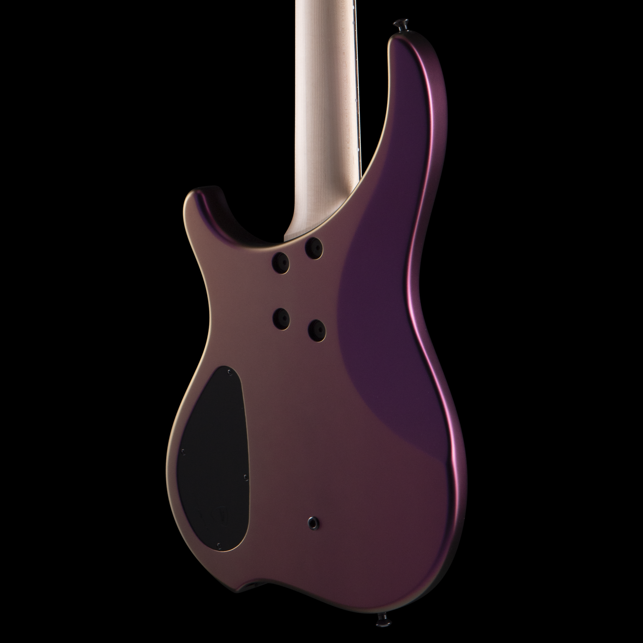 enTour 2026 Dingwall Bass ABZ - Body Back.png