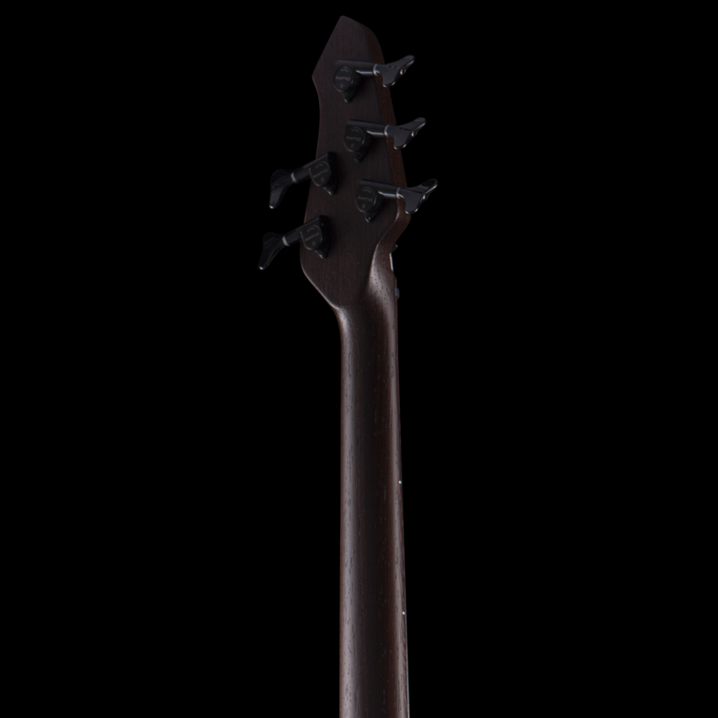 enTour 2026 Mayones Bass ORI 5 - Headstock Back.png