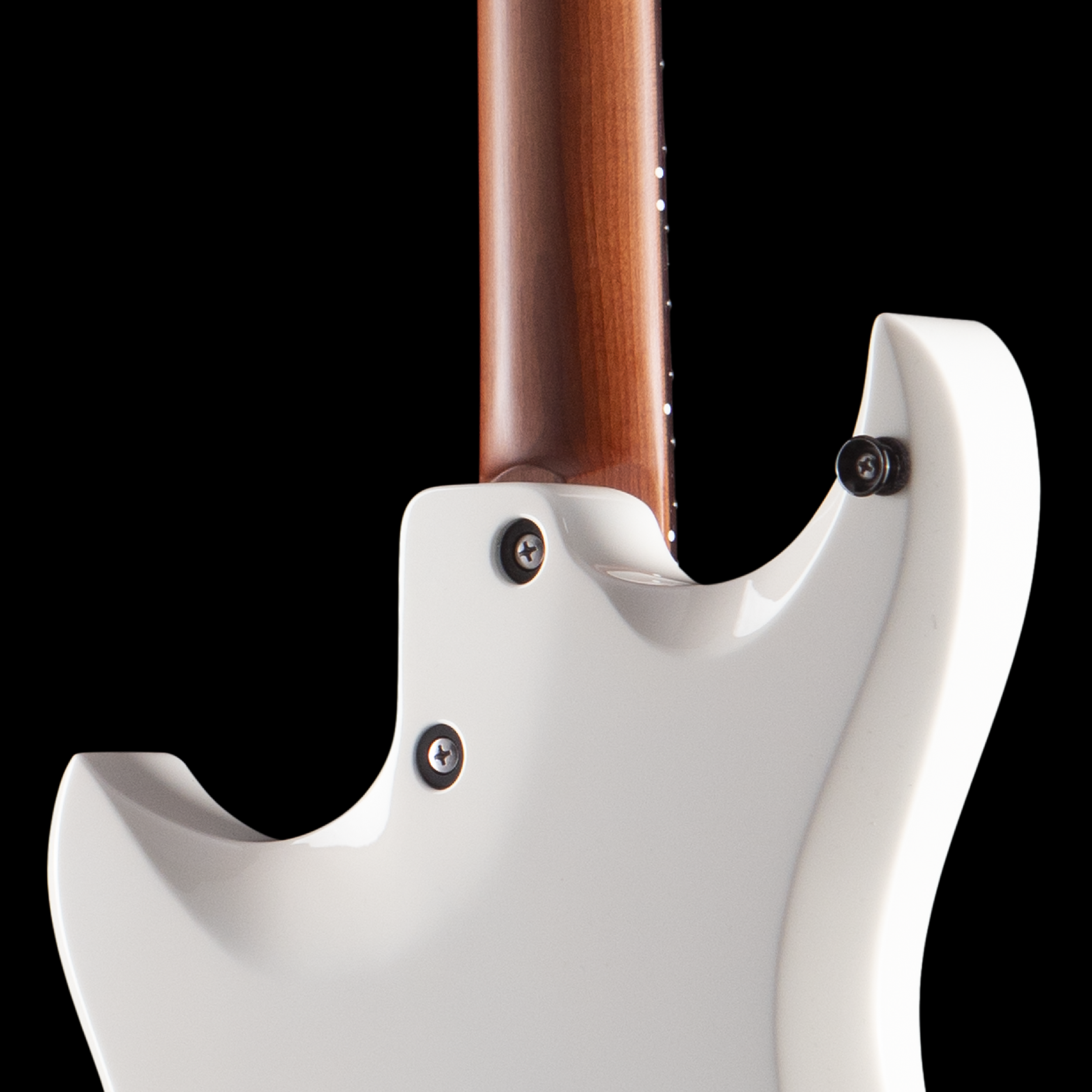 enTour 2026 Tom Anderson Guitarworks Direwolf - Back Shoulder.png