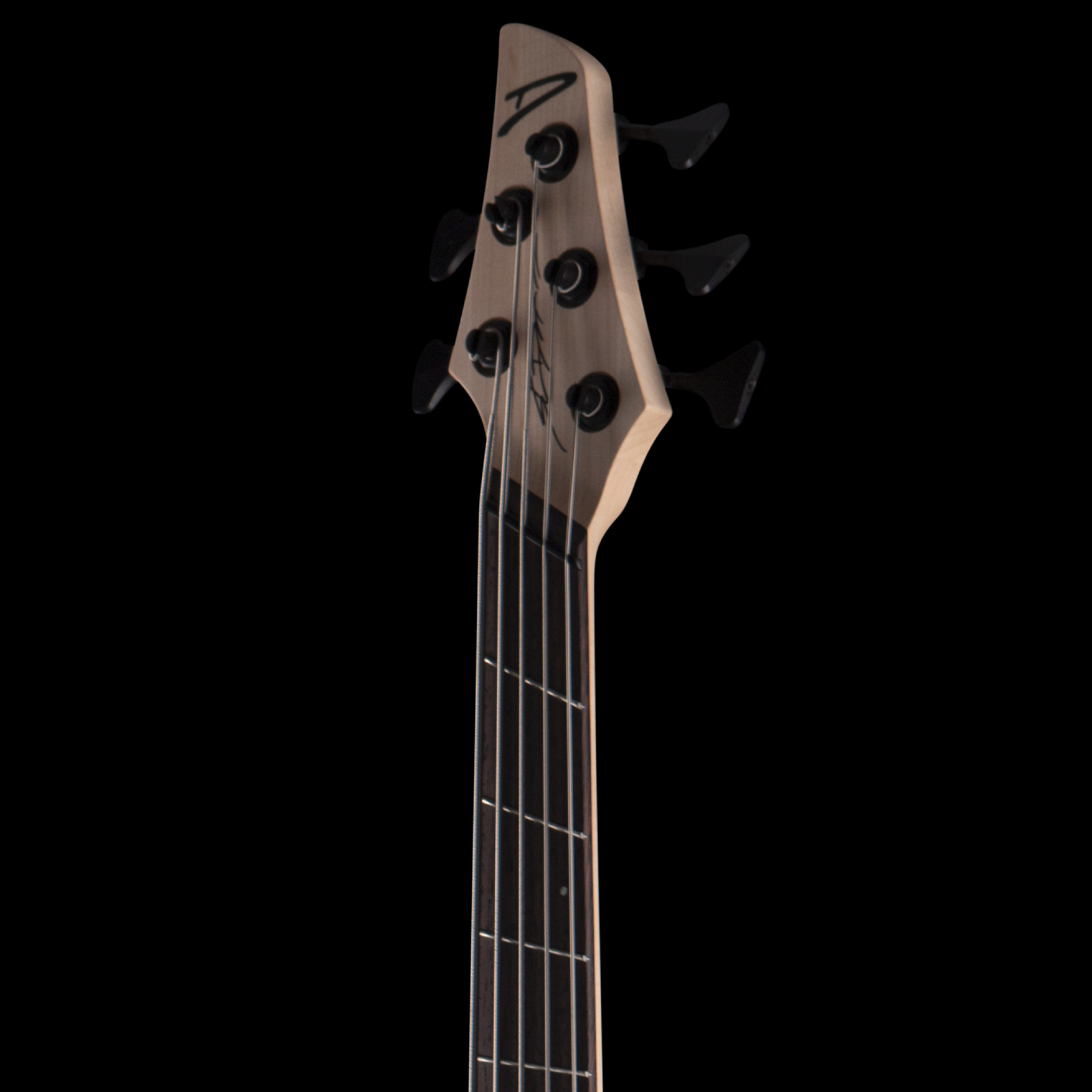 enTour 2026 Dingwall Bass ABZ - Headstock Front.png