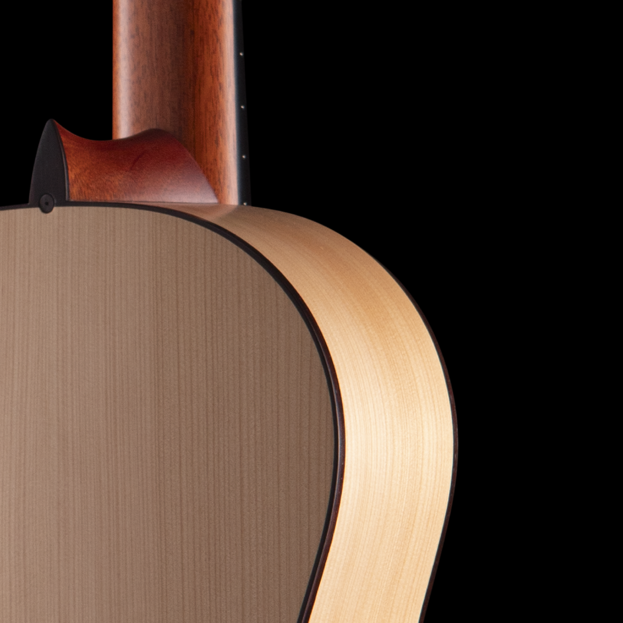 enTour 2026 R Robinson Guitar Flamenco Back Shoulder.png