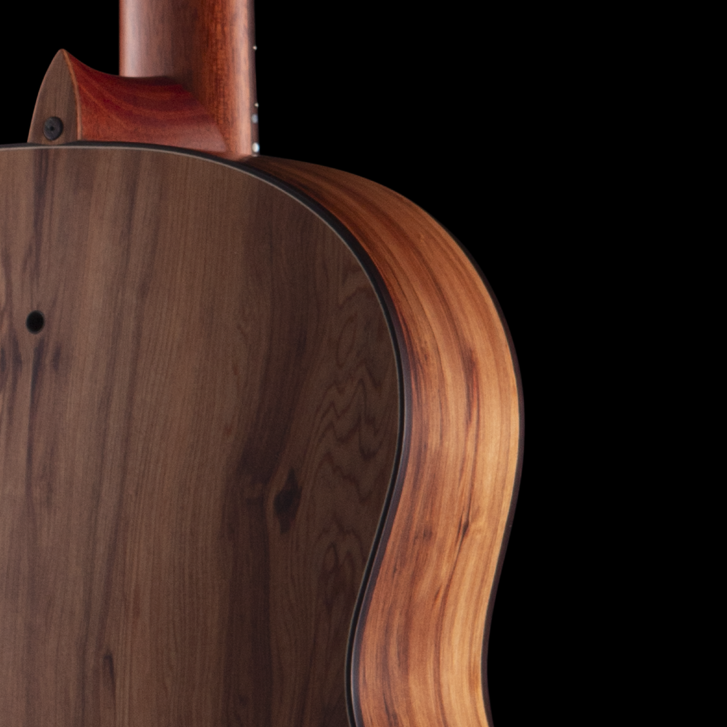 enTour 2026 R Robinson Guitar Resonator Back Shoulder.png