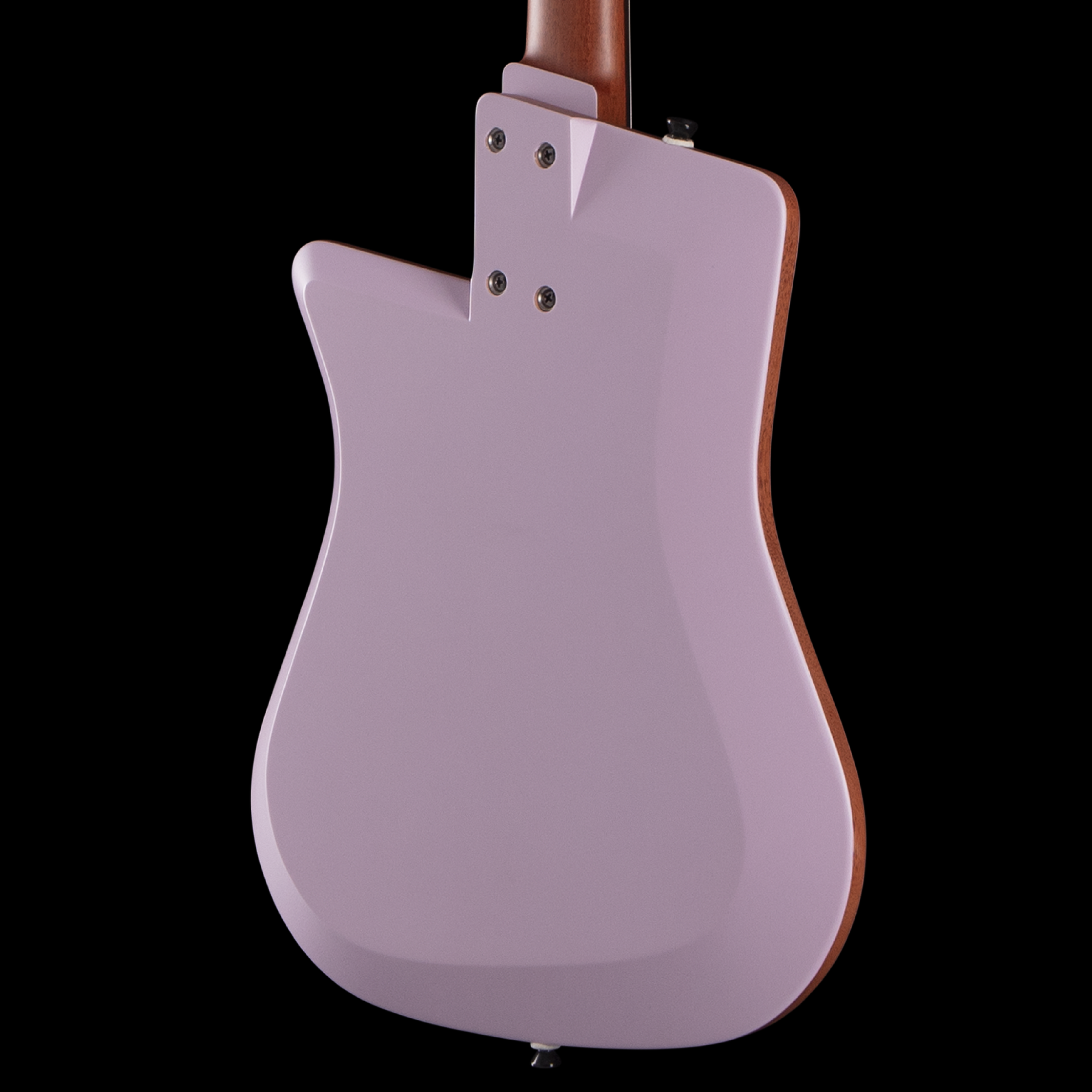 enTour 2026 Guitares Julien Sublet TS1 - Body Back.png