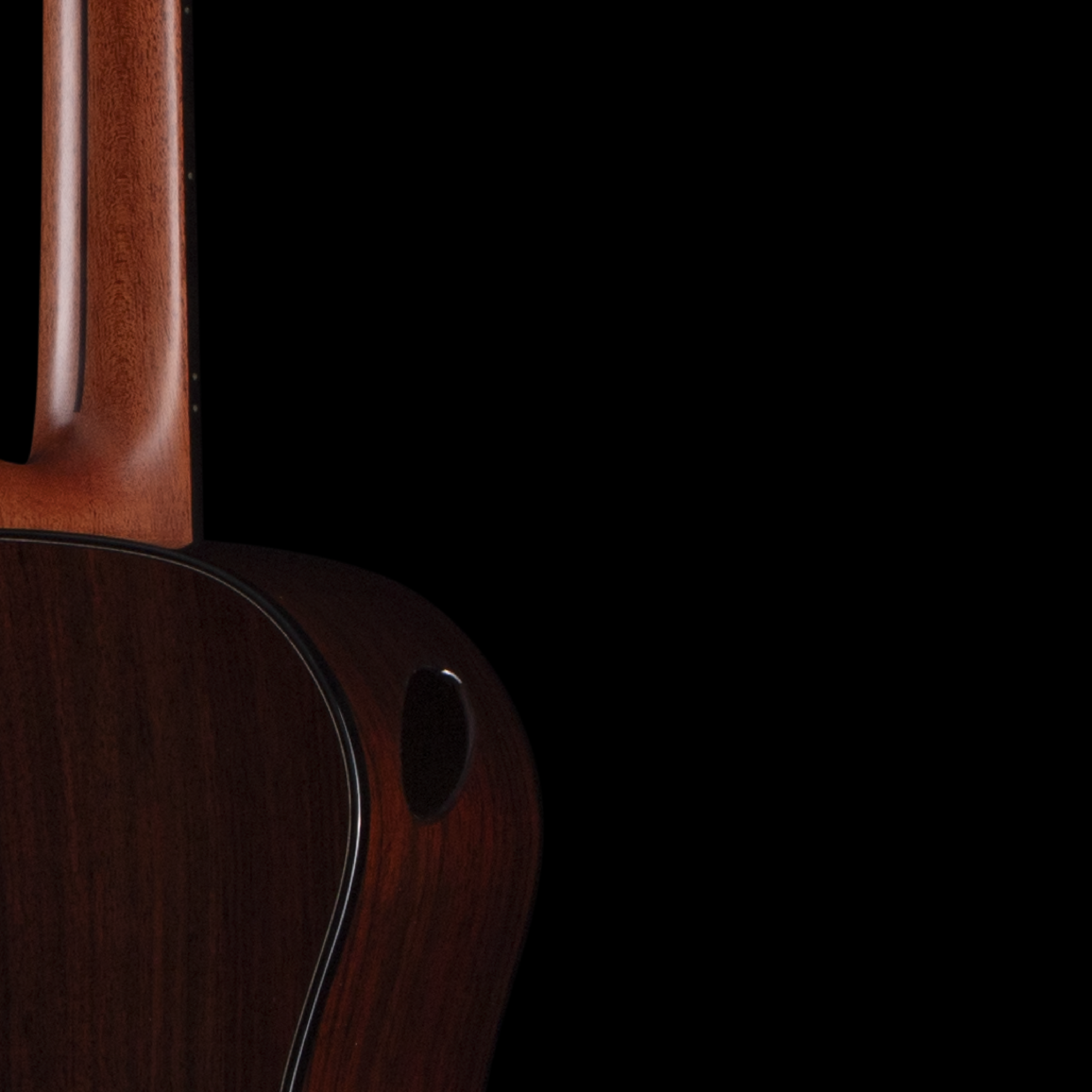 enTour 2026 Hozen Guitars Gold Label - Back Detail.png