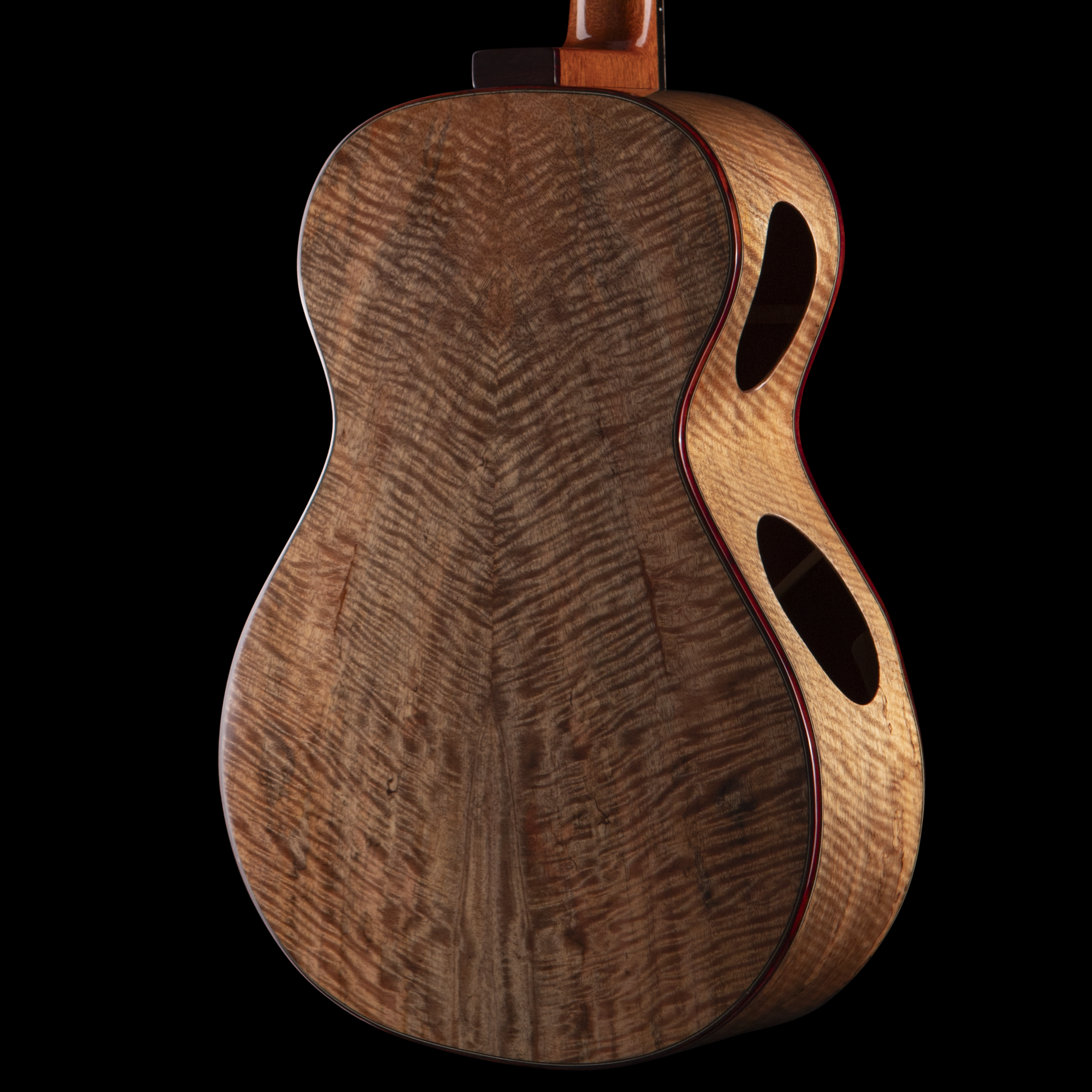 enTour 2026 Skytop Guitar Grand Concert - Body Back.png