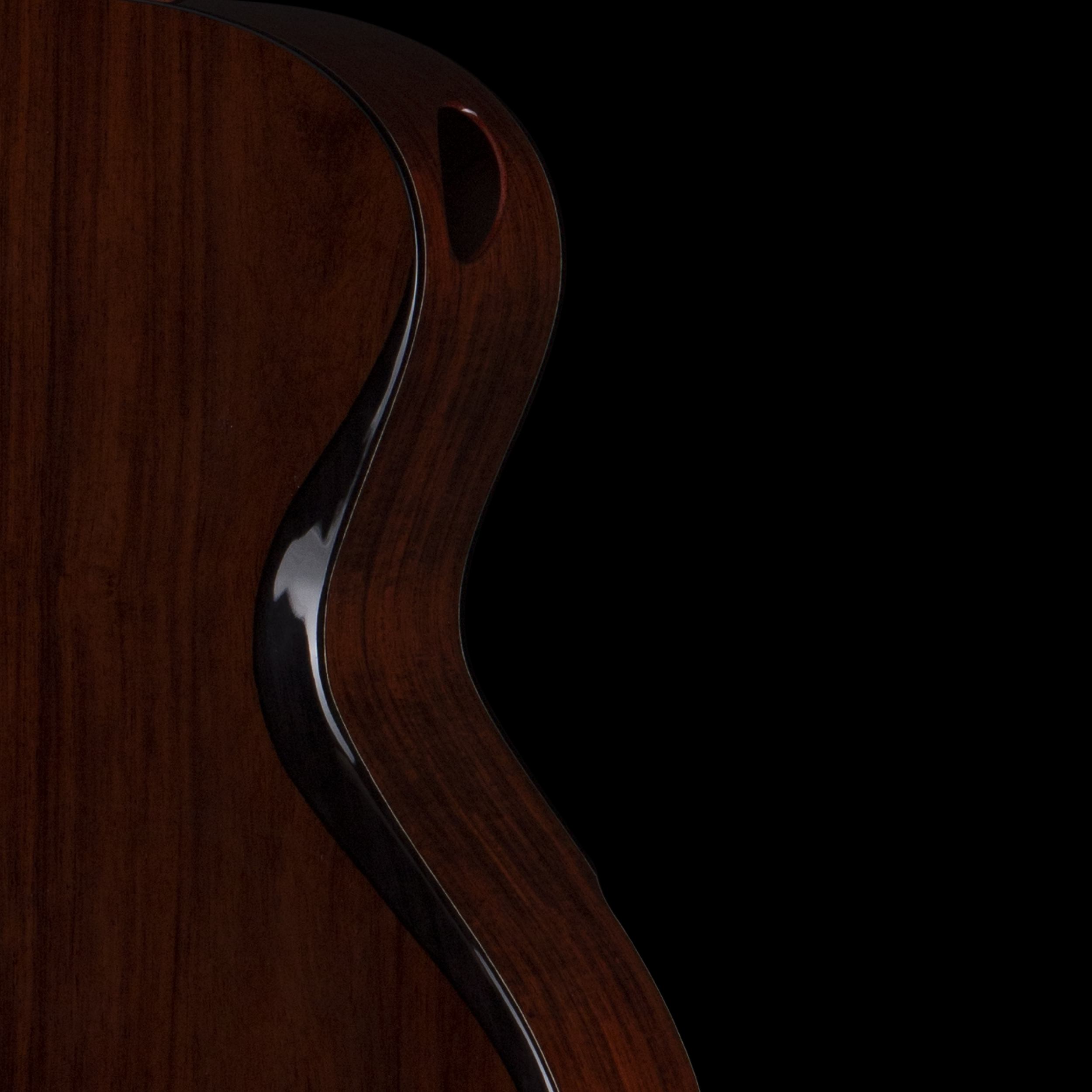 enTour 2026 Hozen Guitars Blue Label 259 - Back.png