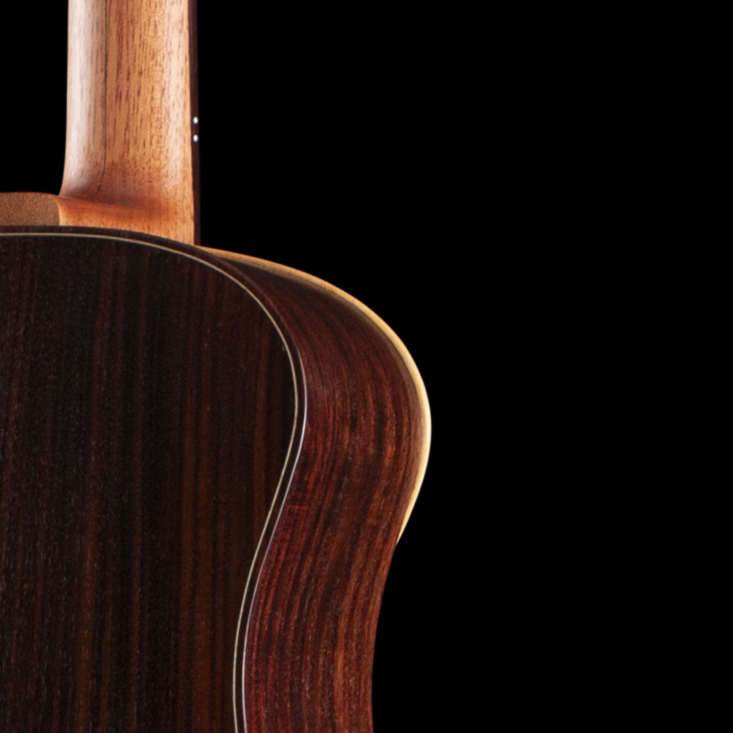 enTour 2026 Sankey Guitars Mignonnette - Detail Back.png
