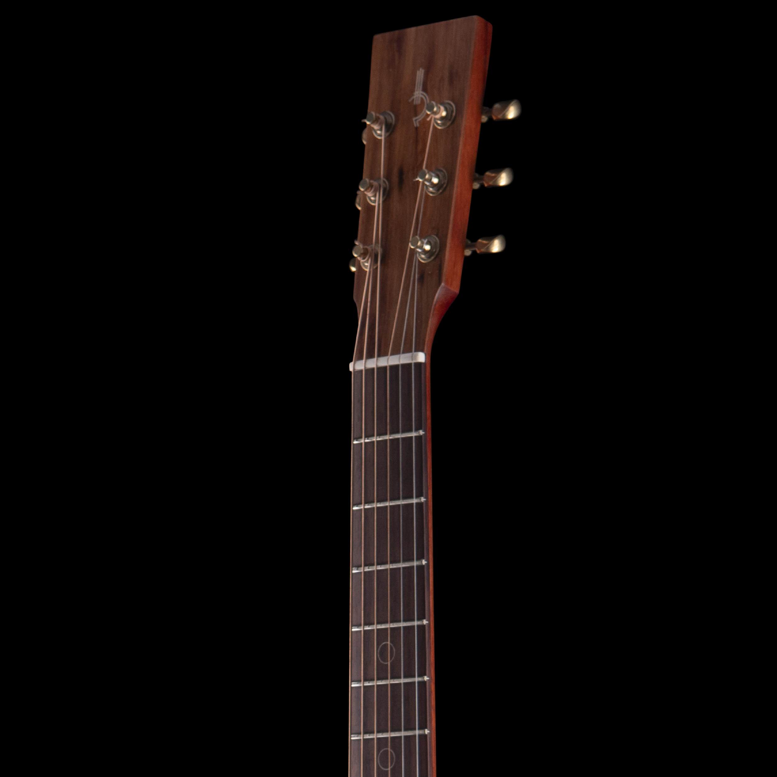 enTour 2026 R Robinson Guitar Resonator - Headstock Front.png