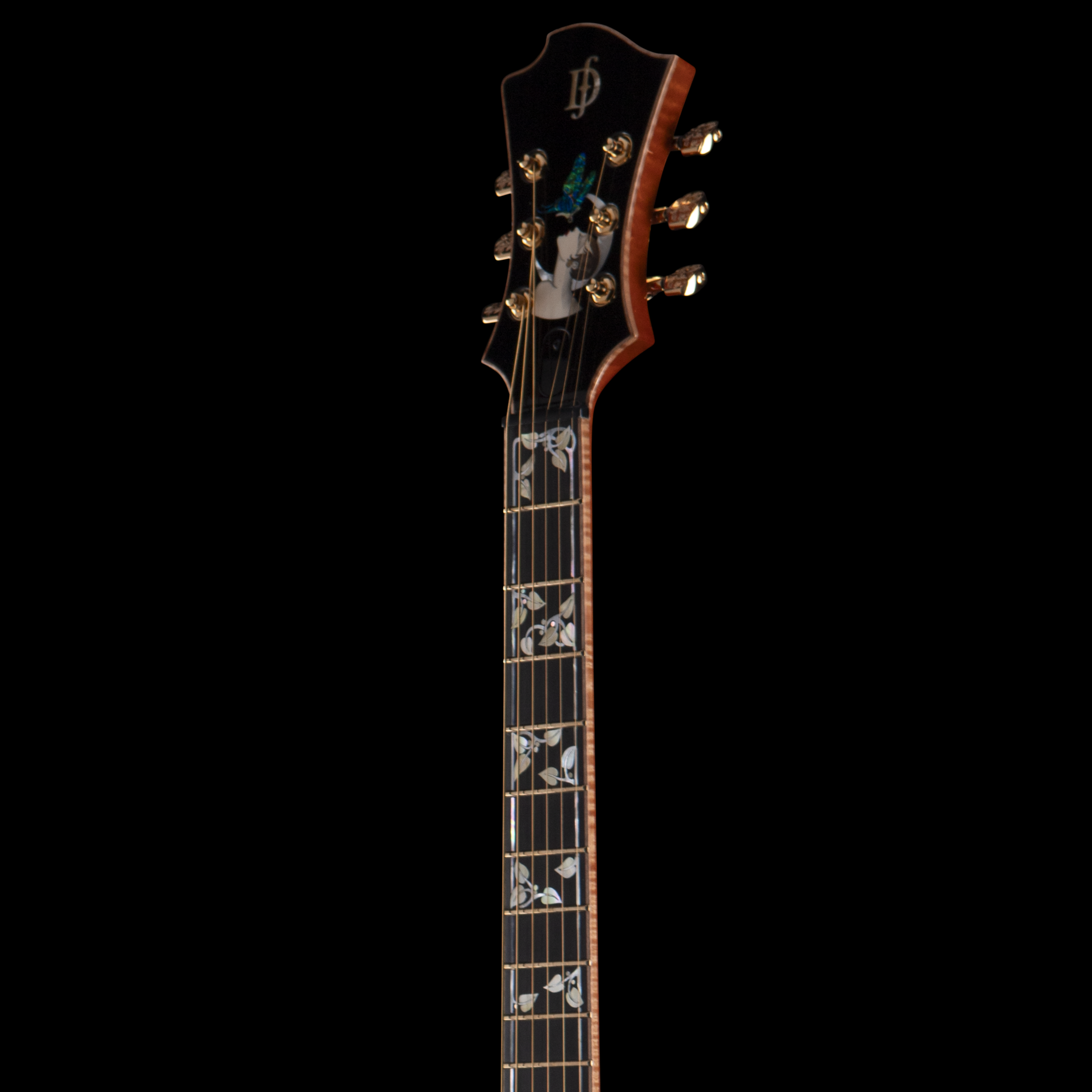 Close-up of a Djerjinski guitar headstock with six tuning pegs, a black finish, a floral design inlay, and the D'Addario logo, against a black background.