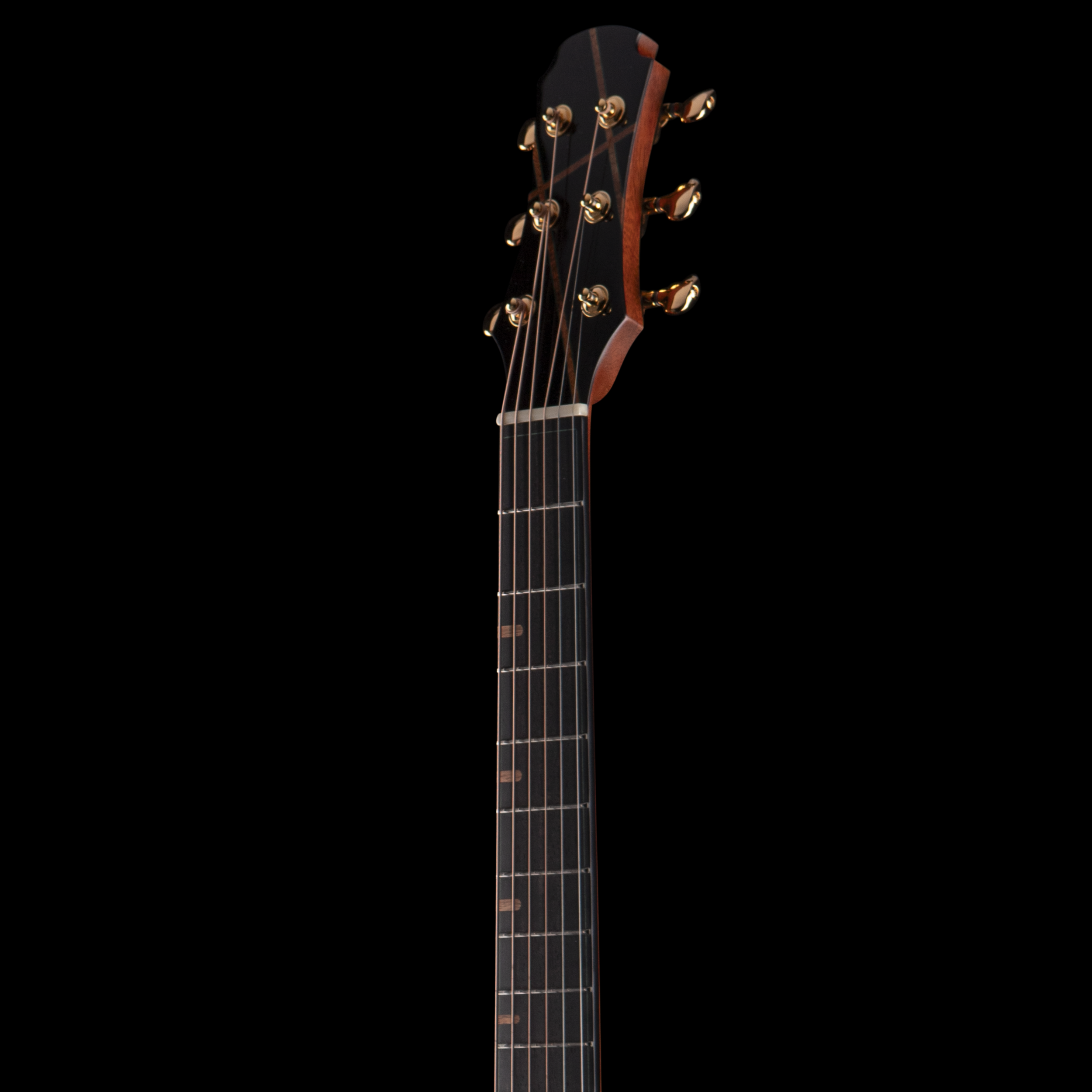 Close-up of a hozen guitar headstock with tuning pegs against a black background.