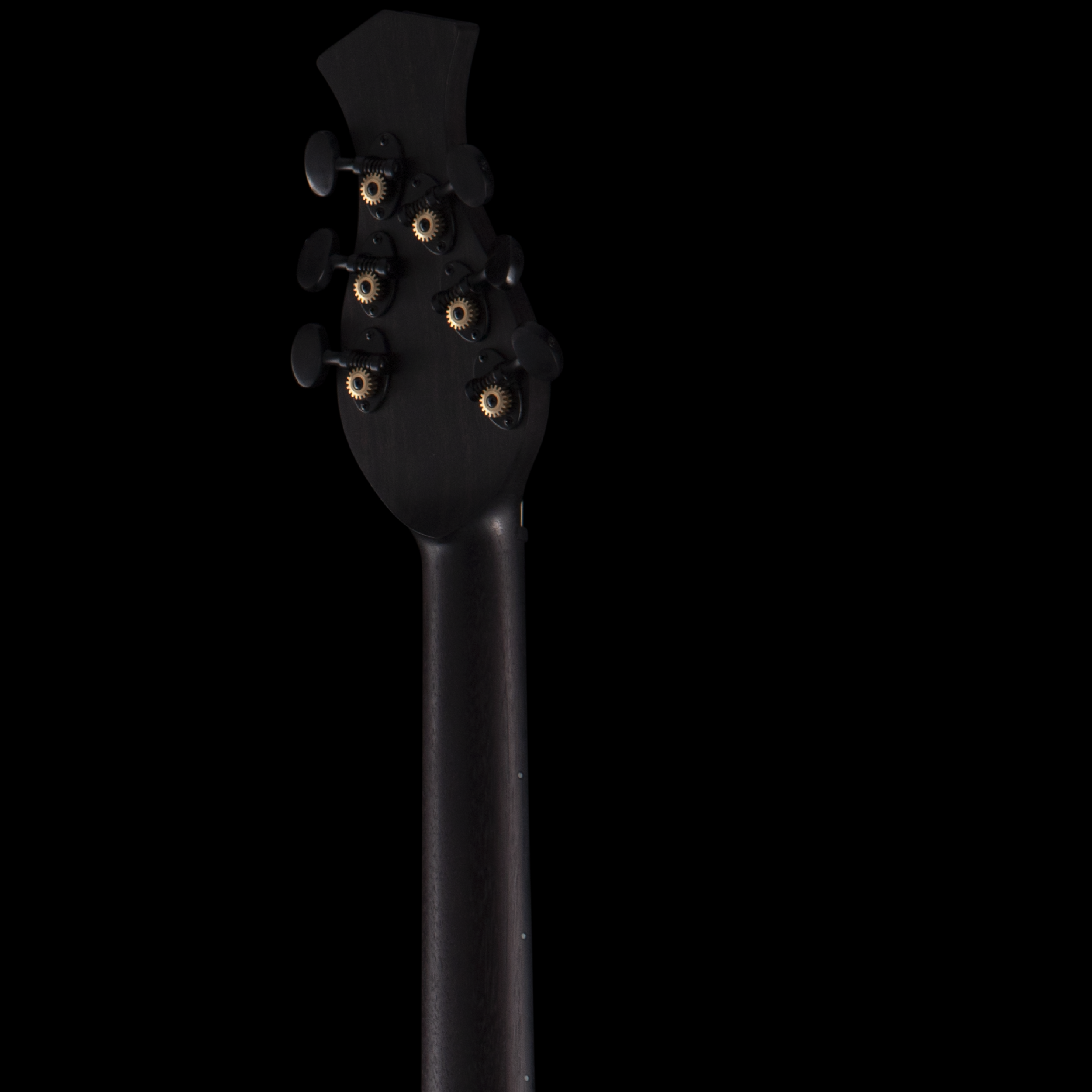 enTour 2026 Senez Guitar Psari - Headstock Back.png