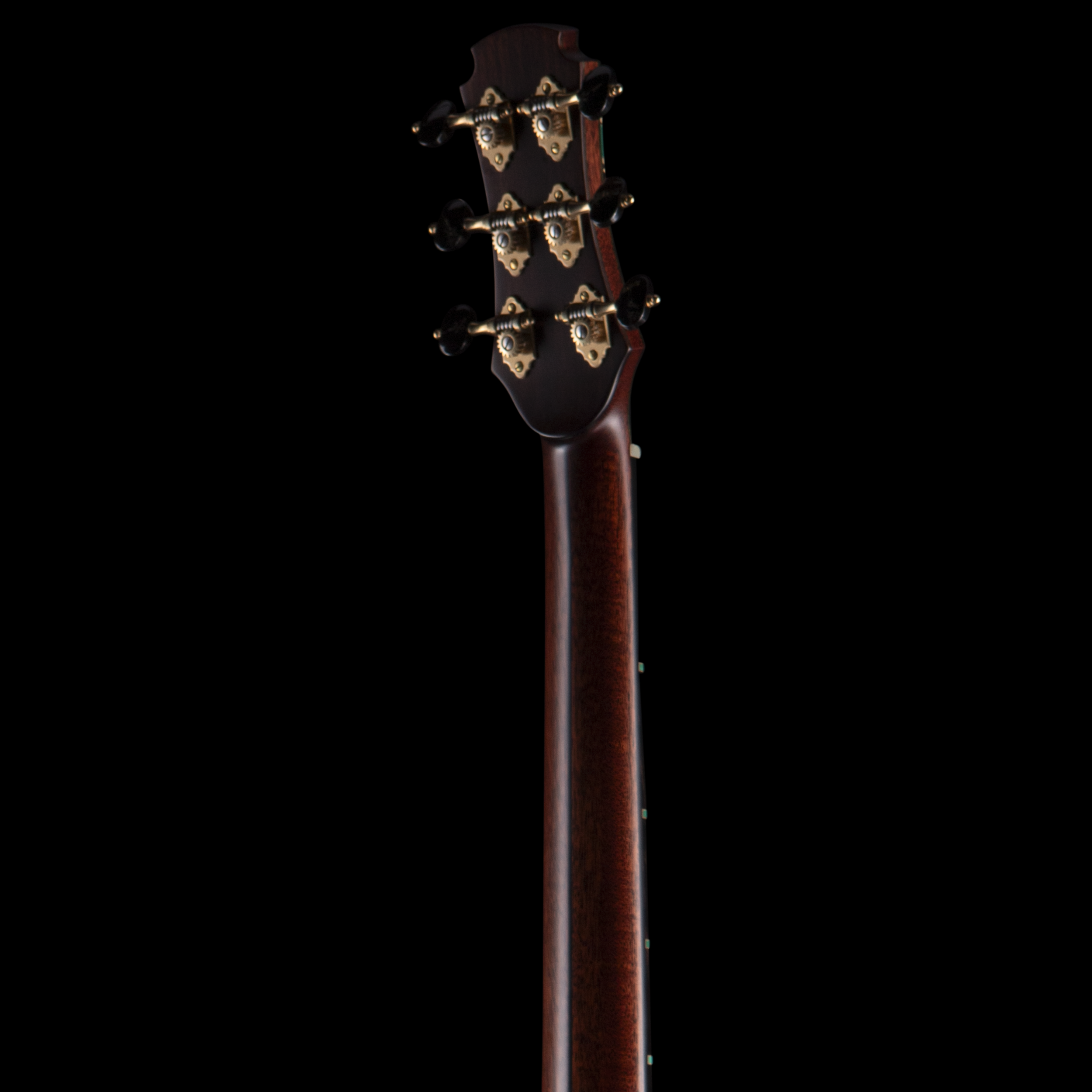 enTour 2026 Hozen Guitars 343 - Headstock Back.png