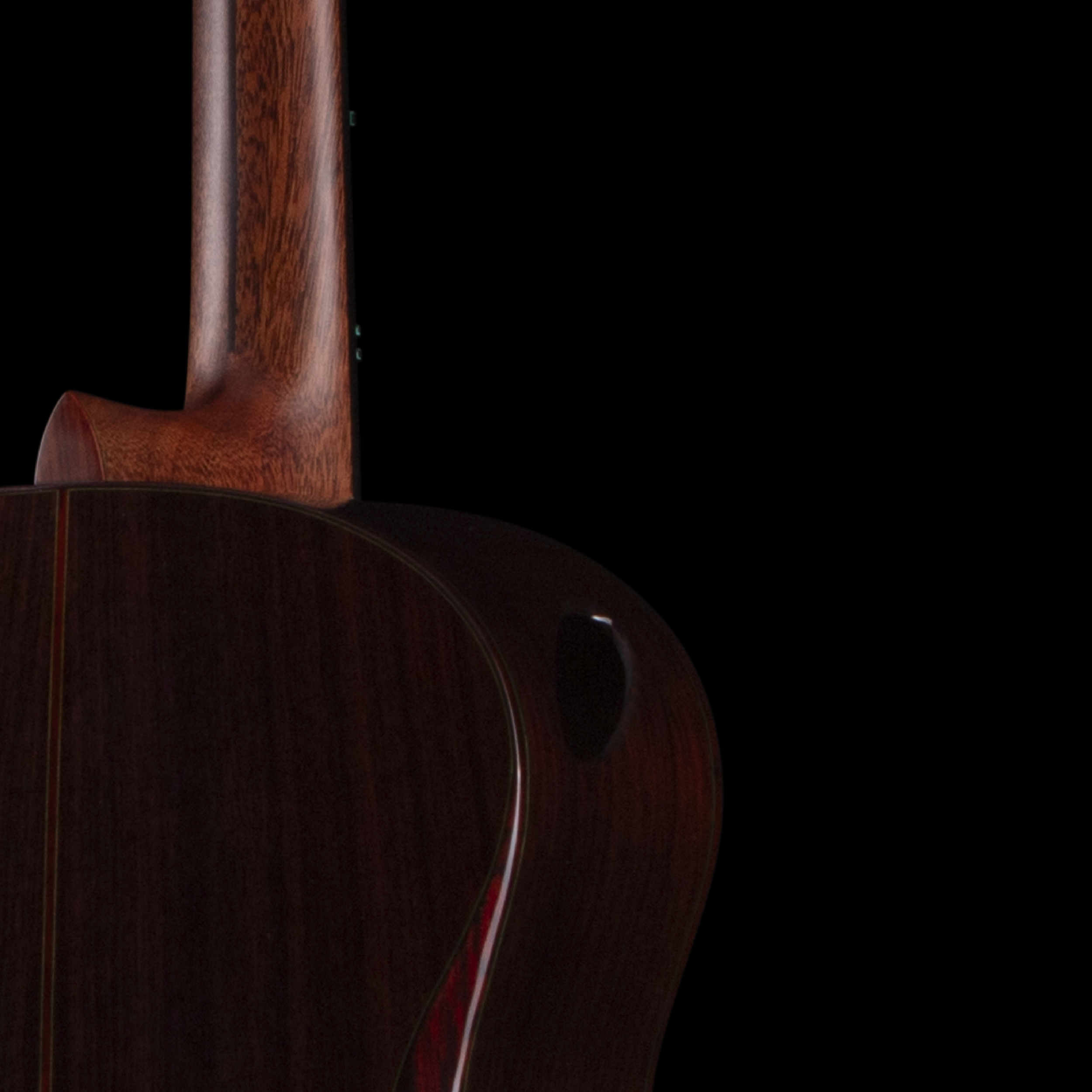 enTour 2026 Hozen Guitars Blue Label 329 - Back.png