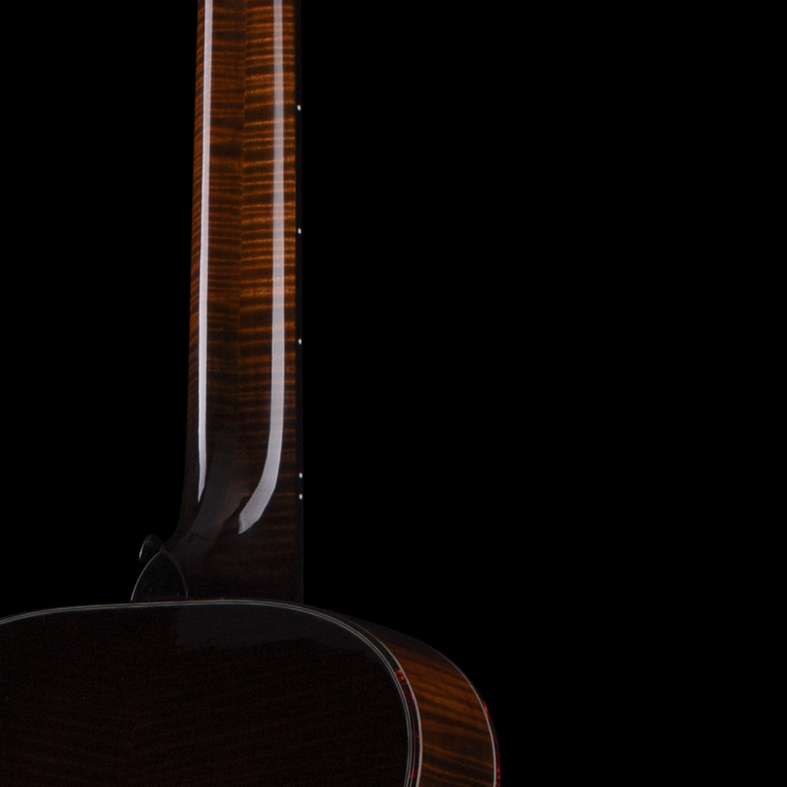 enTour 2026 Northfiled Instruments The Rival - Back.png