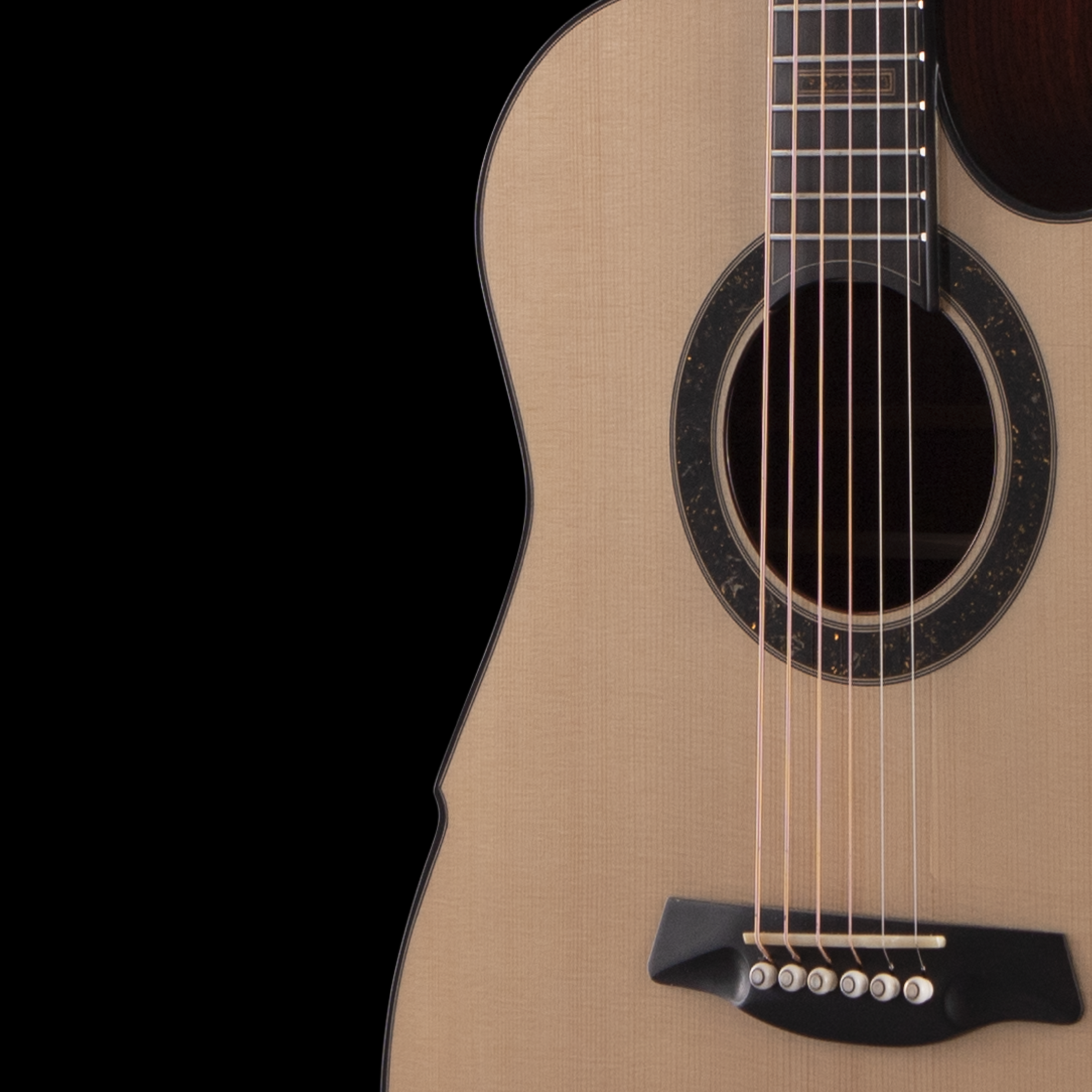 enTour 2026 Hozen Guitars Gold Label  - Front Detail.png