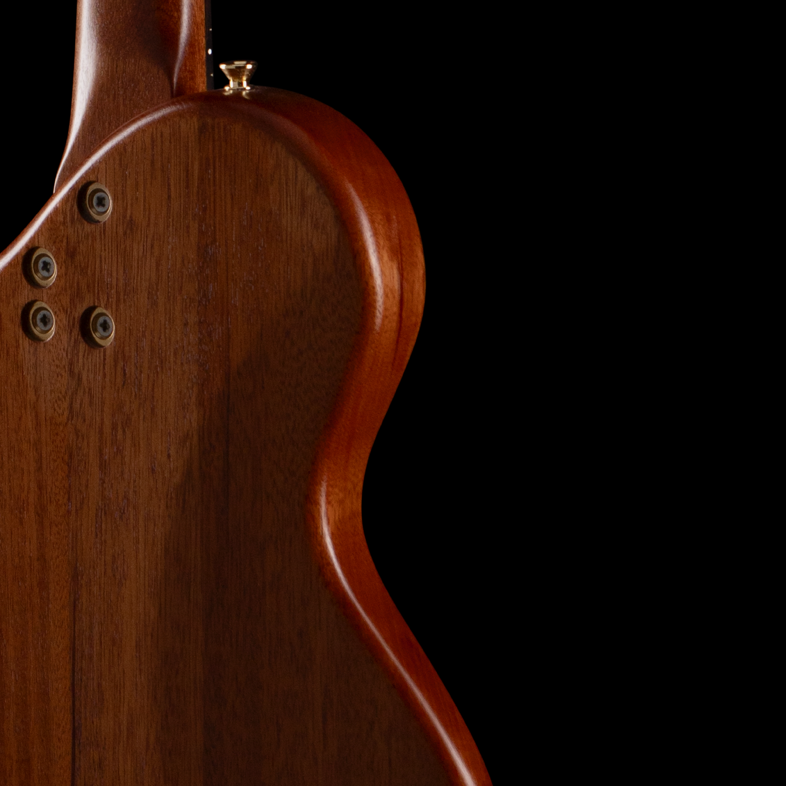 entour 2026 AJ Lucas Obelisk Flower Beetle - Back detail.png