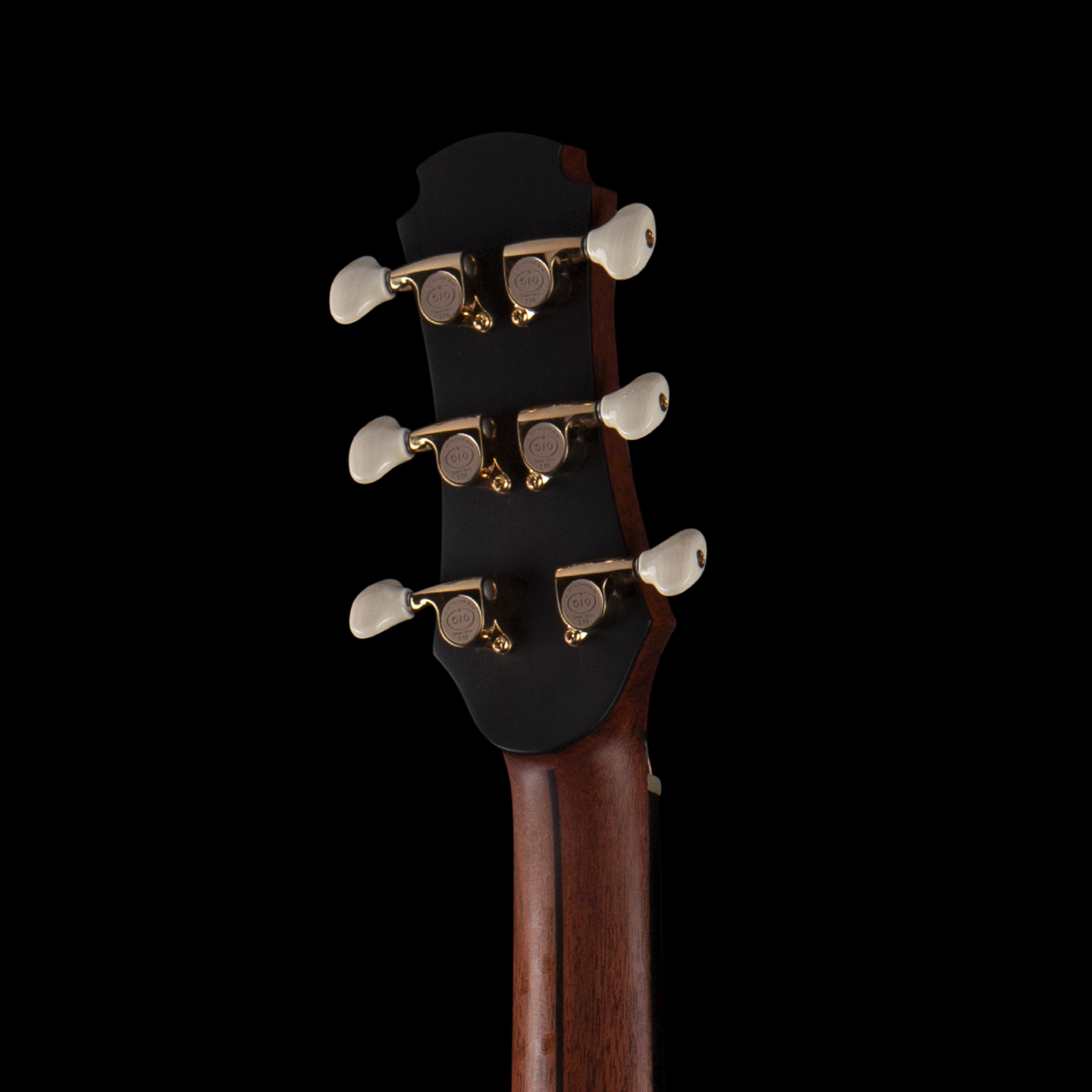 enTour 2026 Hozen Guitars Blue Label 259 - Headstock Back.png