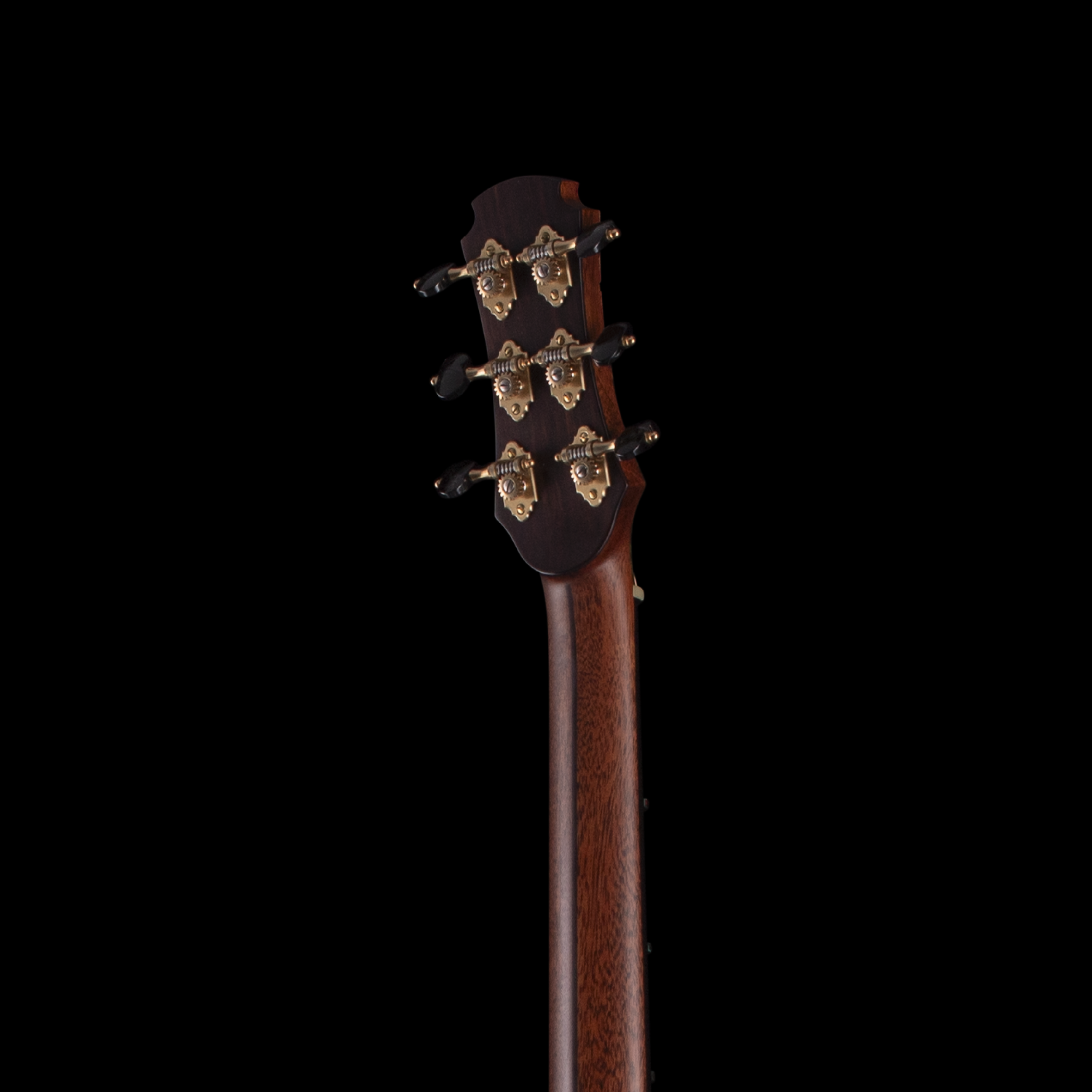 enTour 2026 Hozen Guitars Blue Label 329 - Headstock Back.png