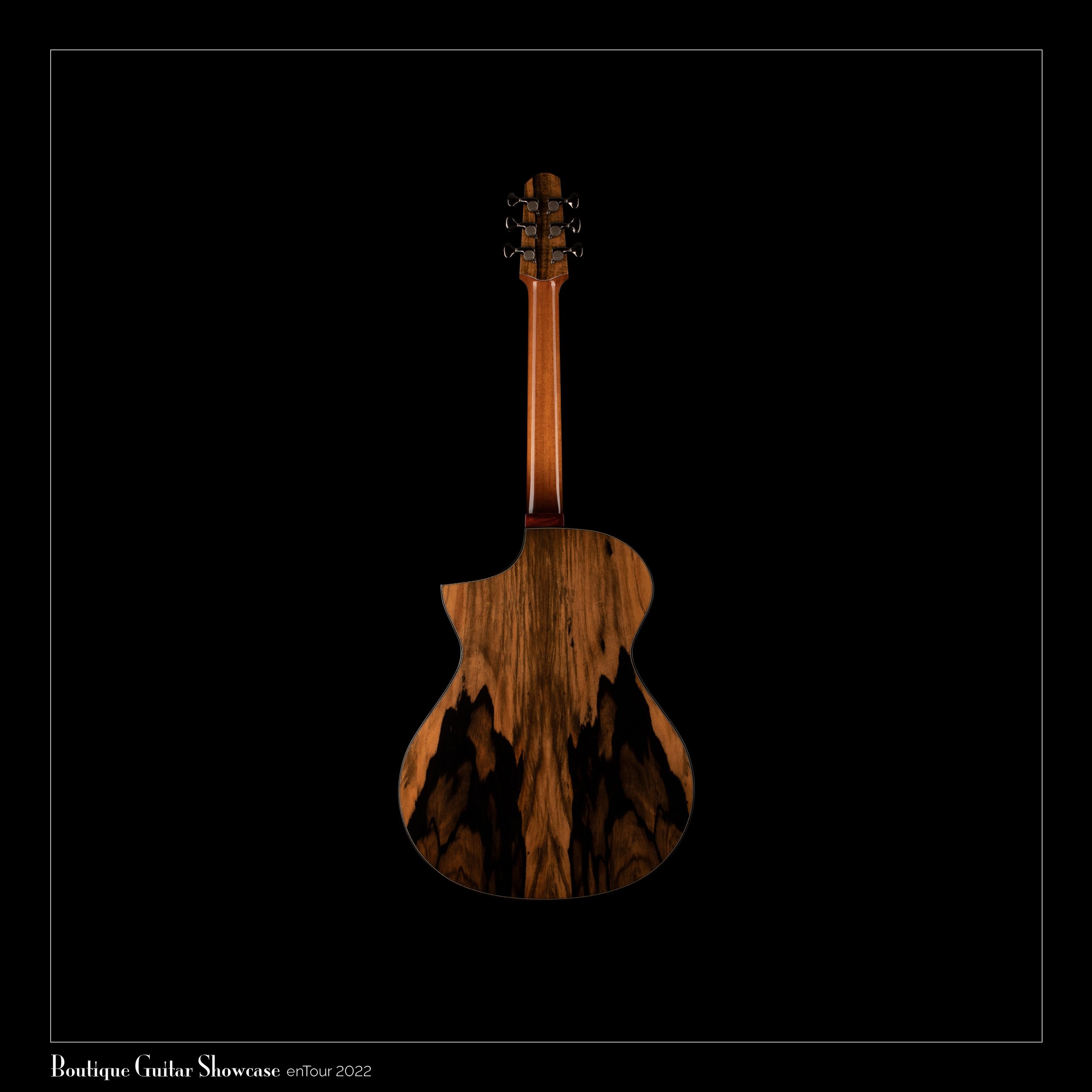 Back view of a Skytop acoustic guitar with a dark wood finish against a black background.