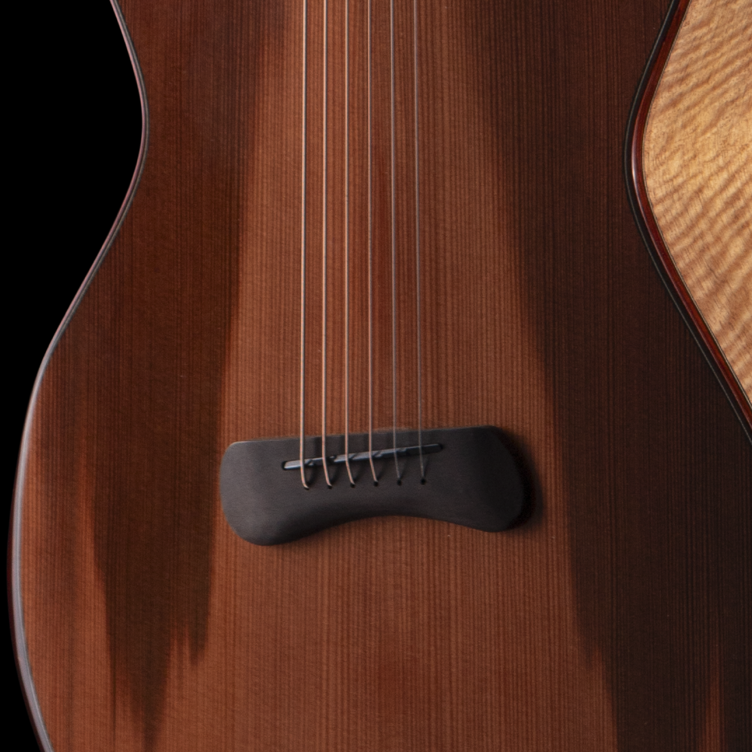 enTour 2026 Skytop Guitar Grand Concert - Front Bridge.png
