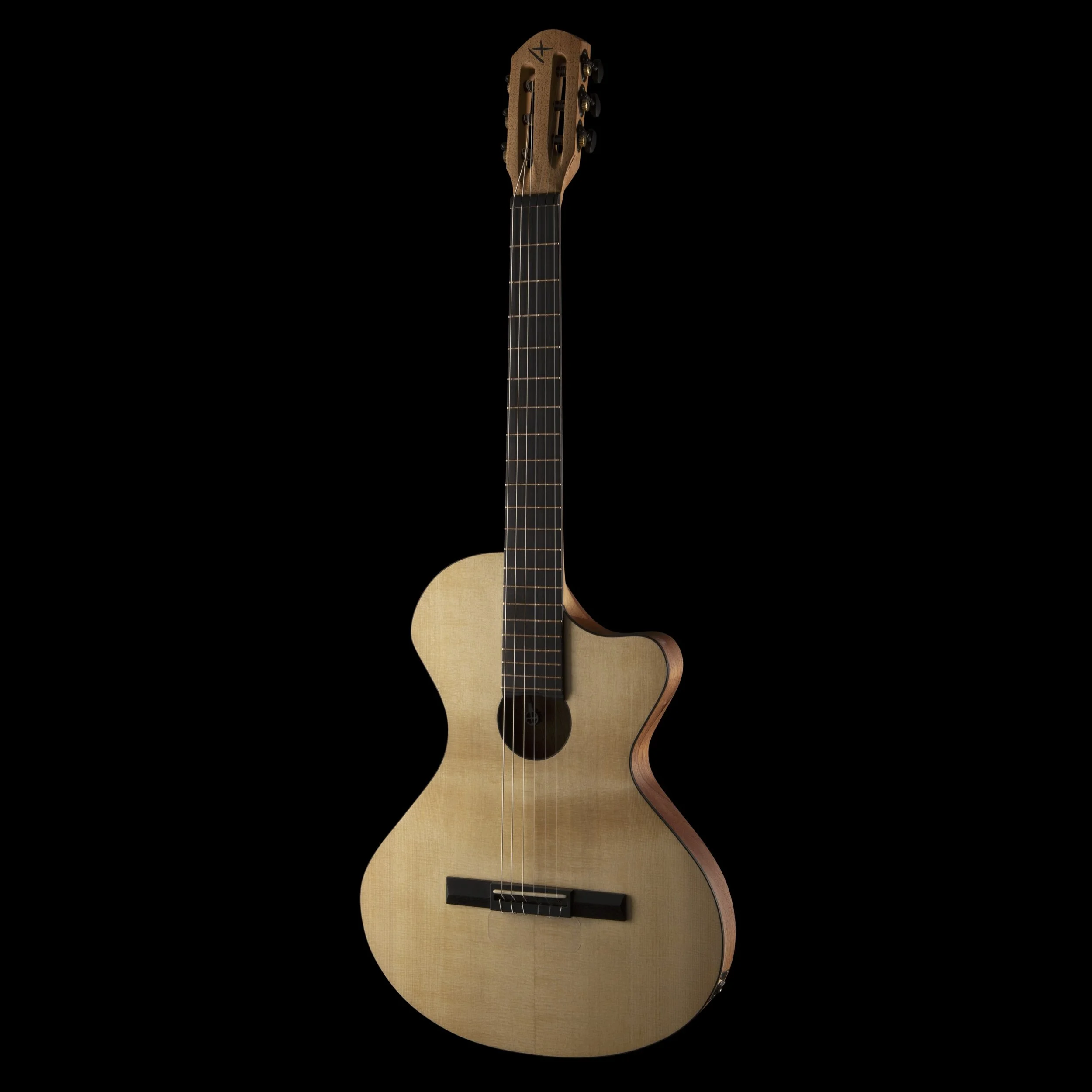 Ergon Guitars Candura