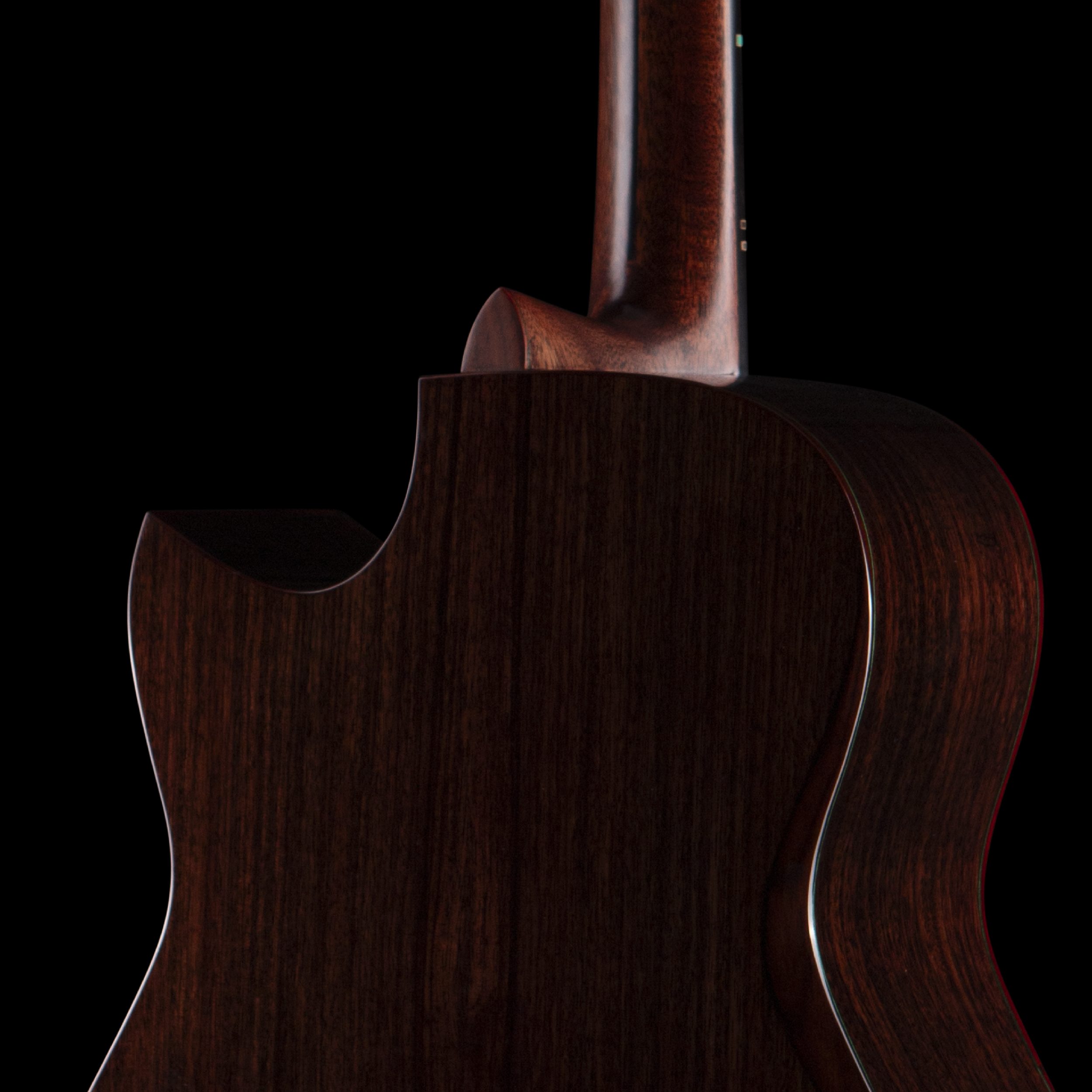 enTour 2026 Hozen Guitars 343 - Back.png