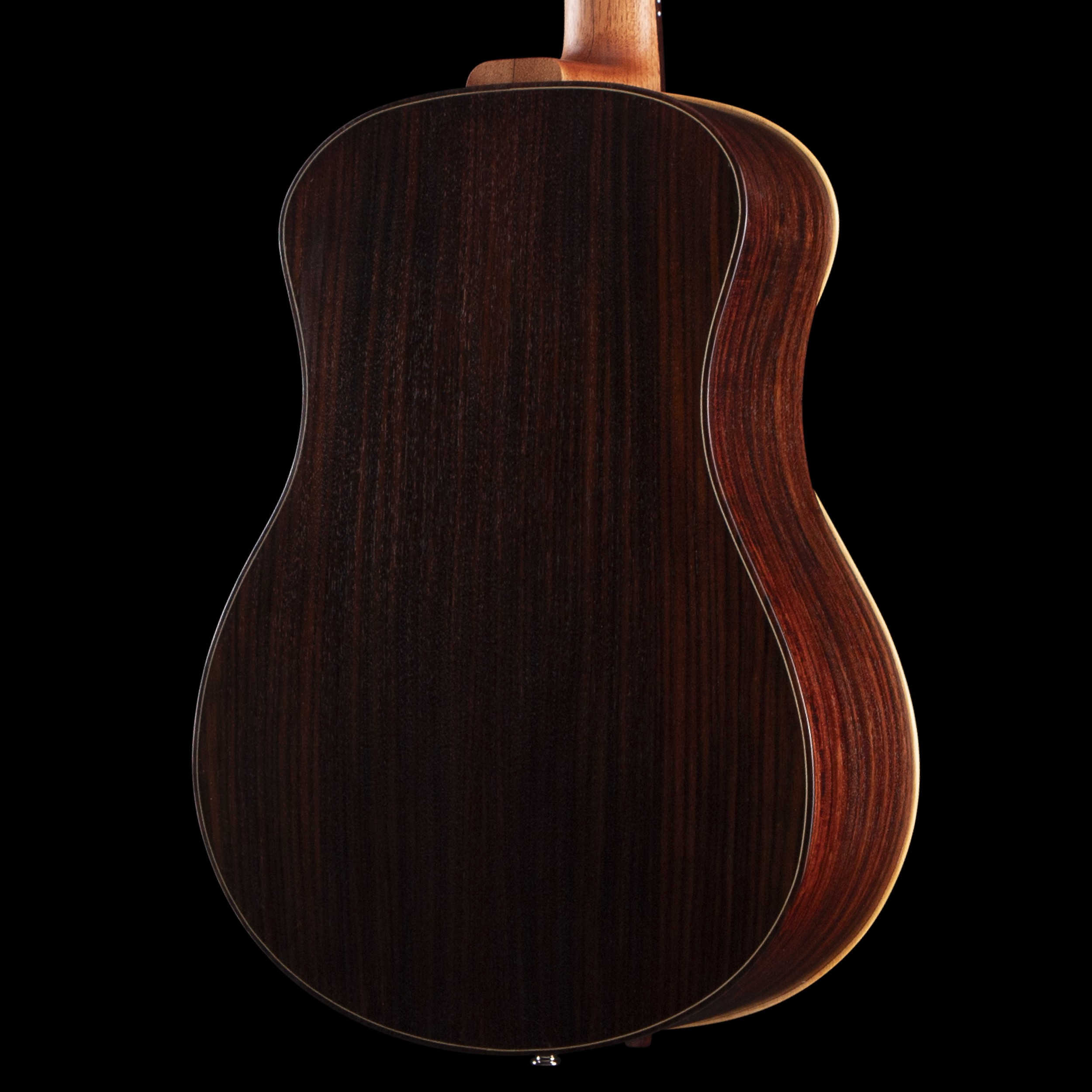 enTour 2026 Sankey Guitars Mignonnette -  Body Back.png