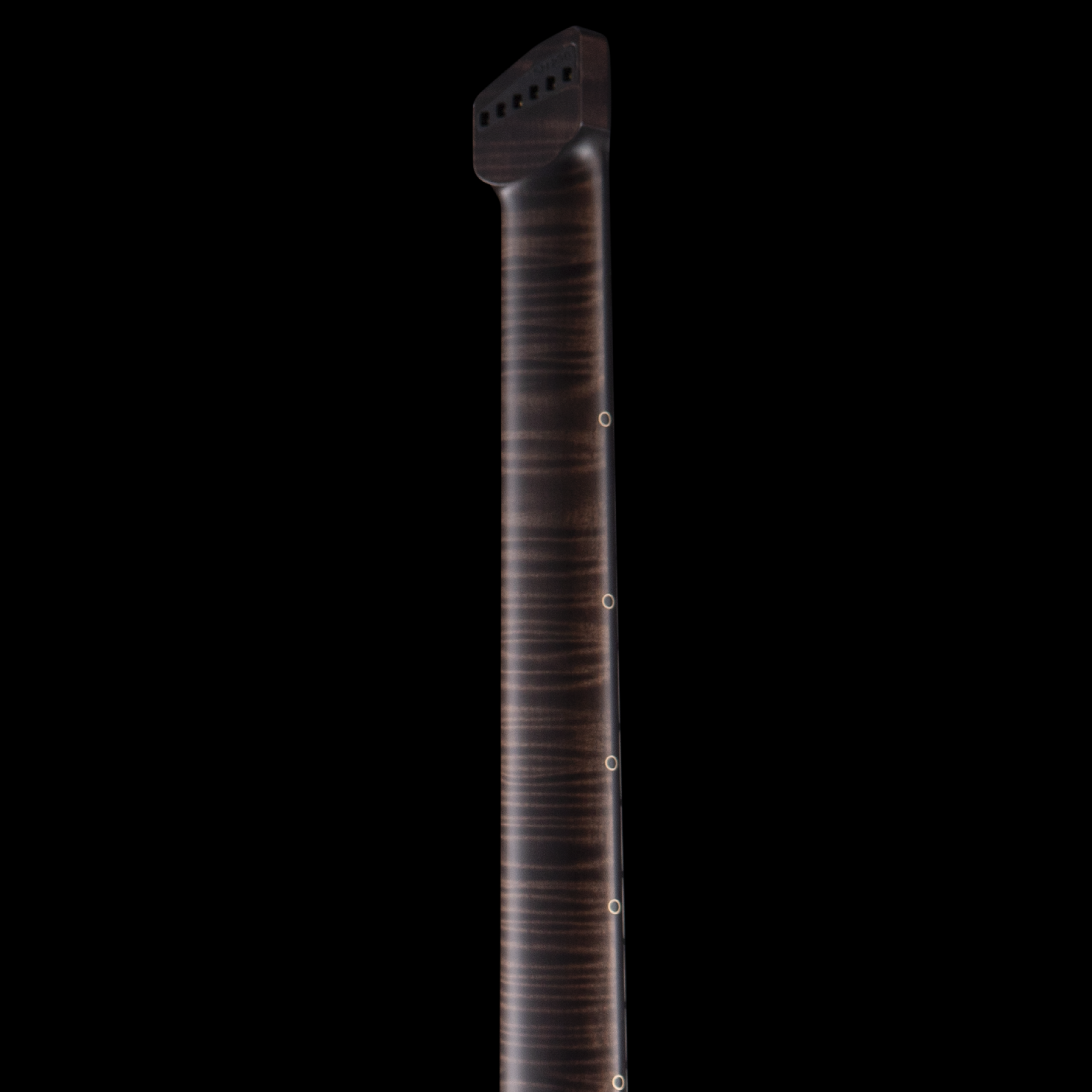 enTour 2026 Padalka Guitar Axion- Headstock Back.png